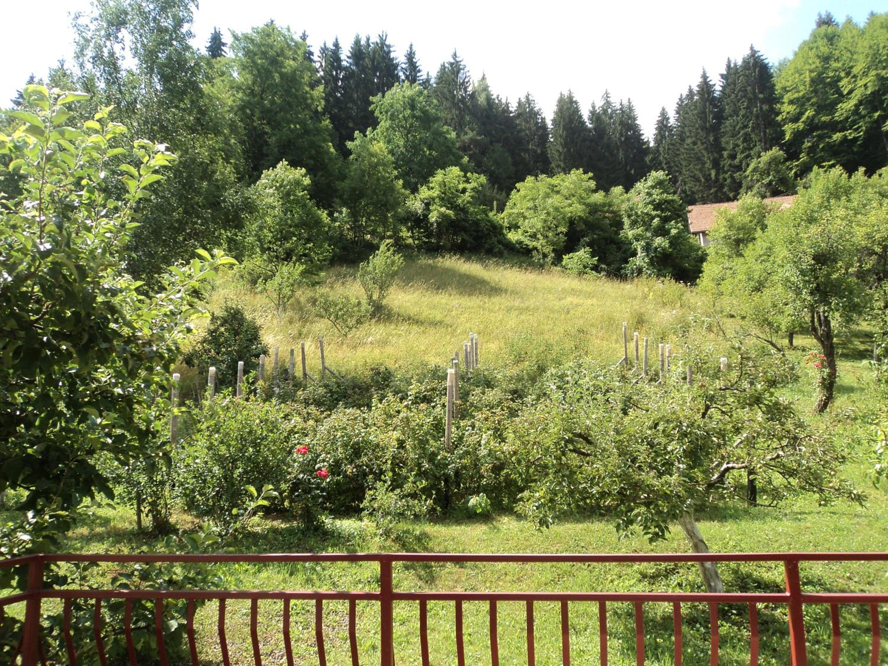 Zeleni dom view 2