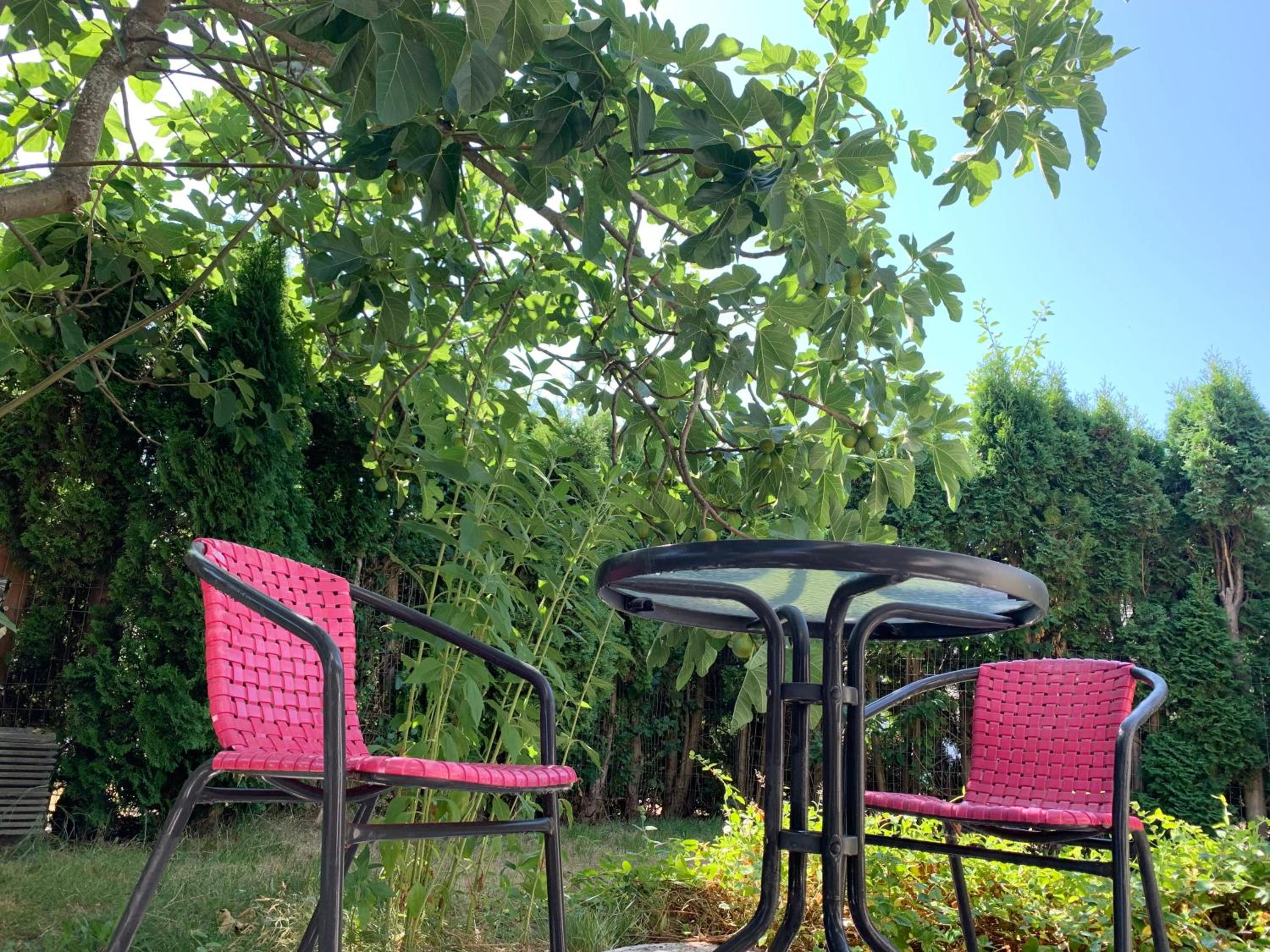 One Bedroom queen bed Sharing Washroom in Tiger Sweet House License##
