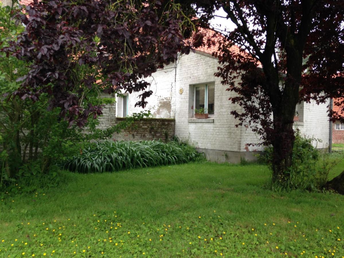 Photo 20