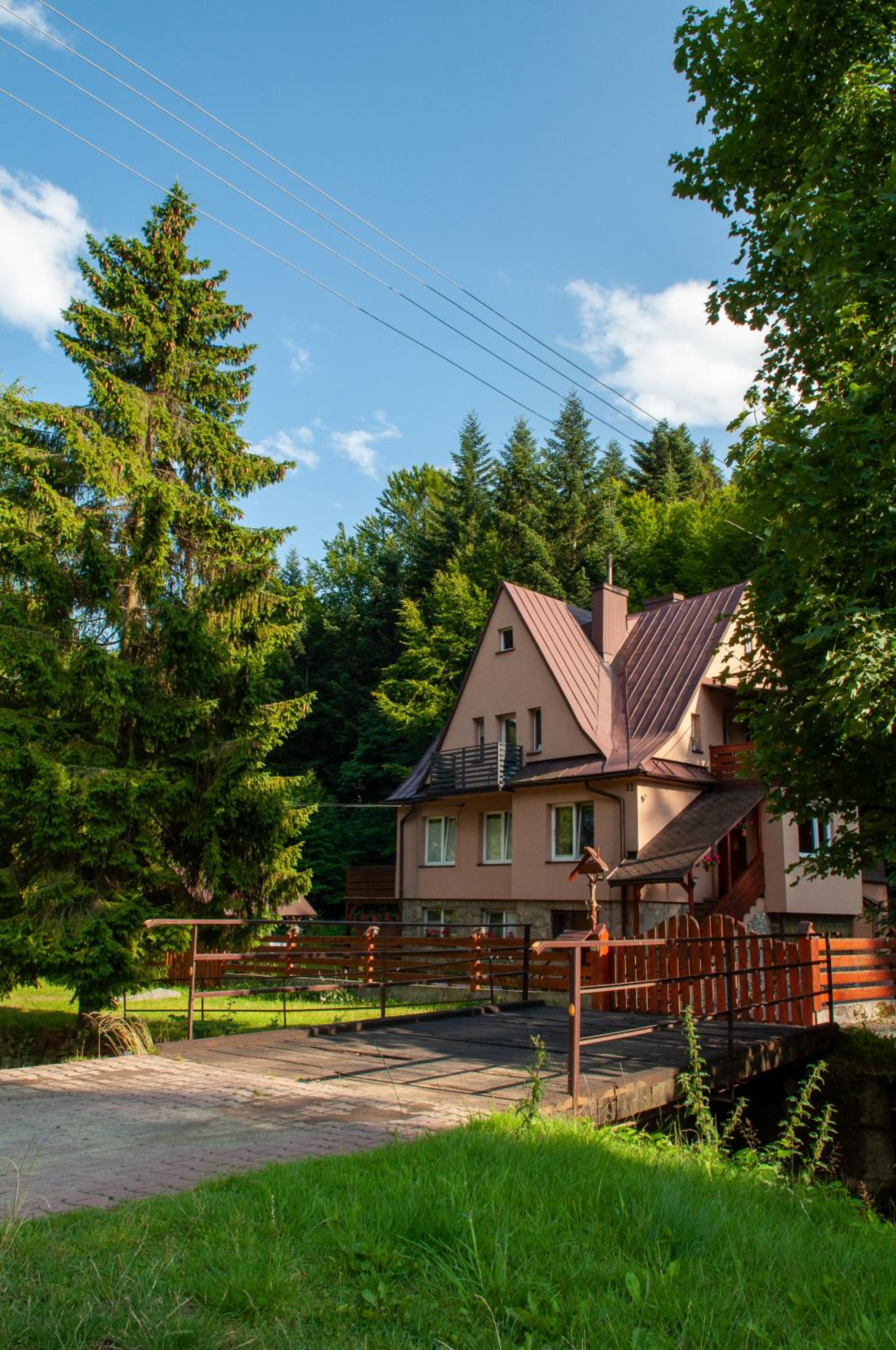 Photo 40