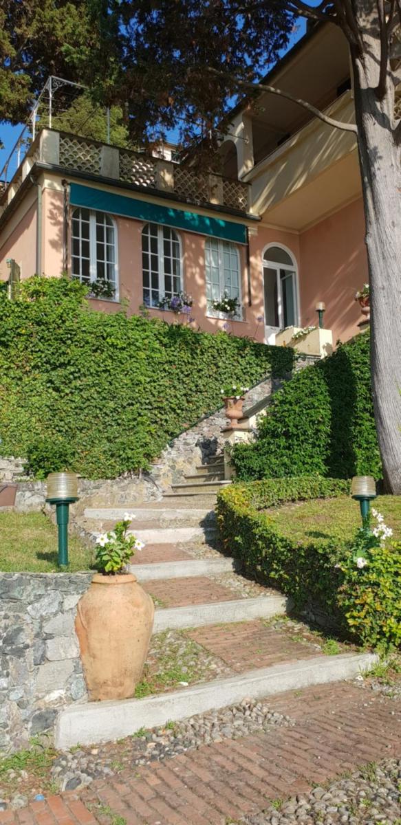 ALBA view 5