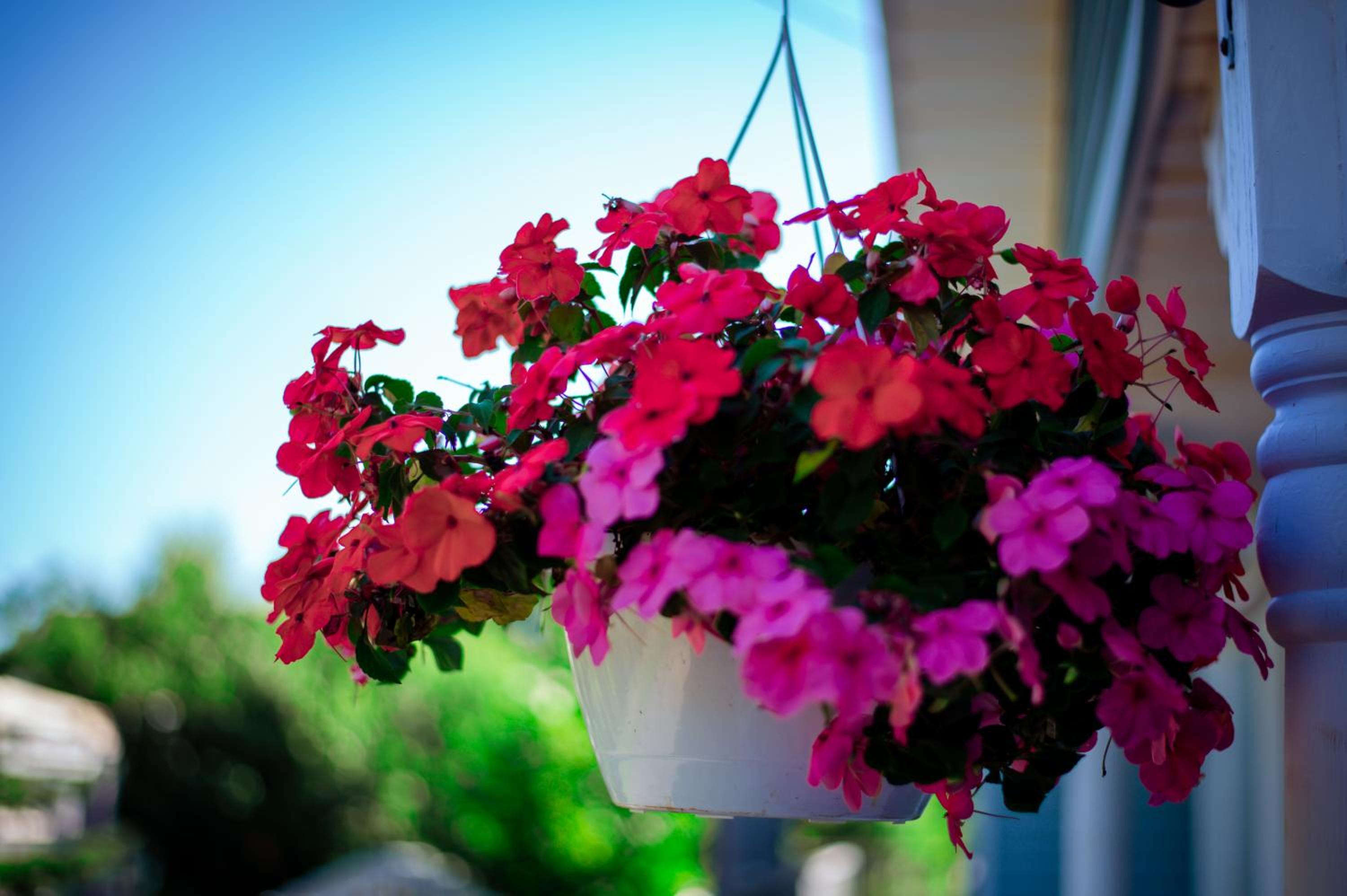 Lee's Ocean Peek B & B