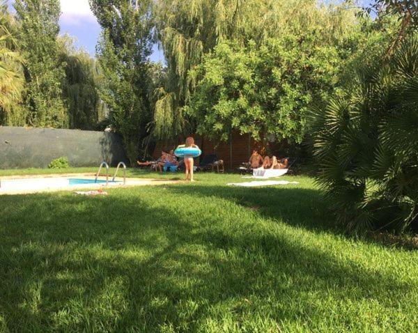 Photo 37