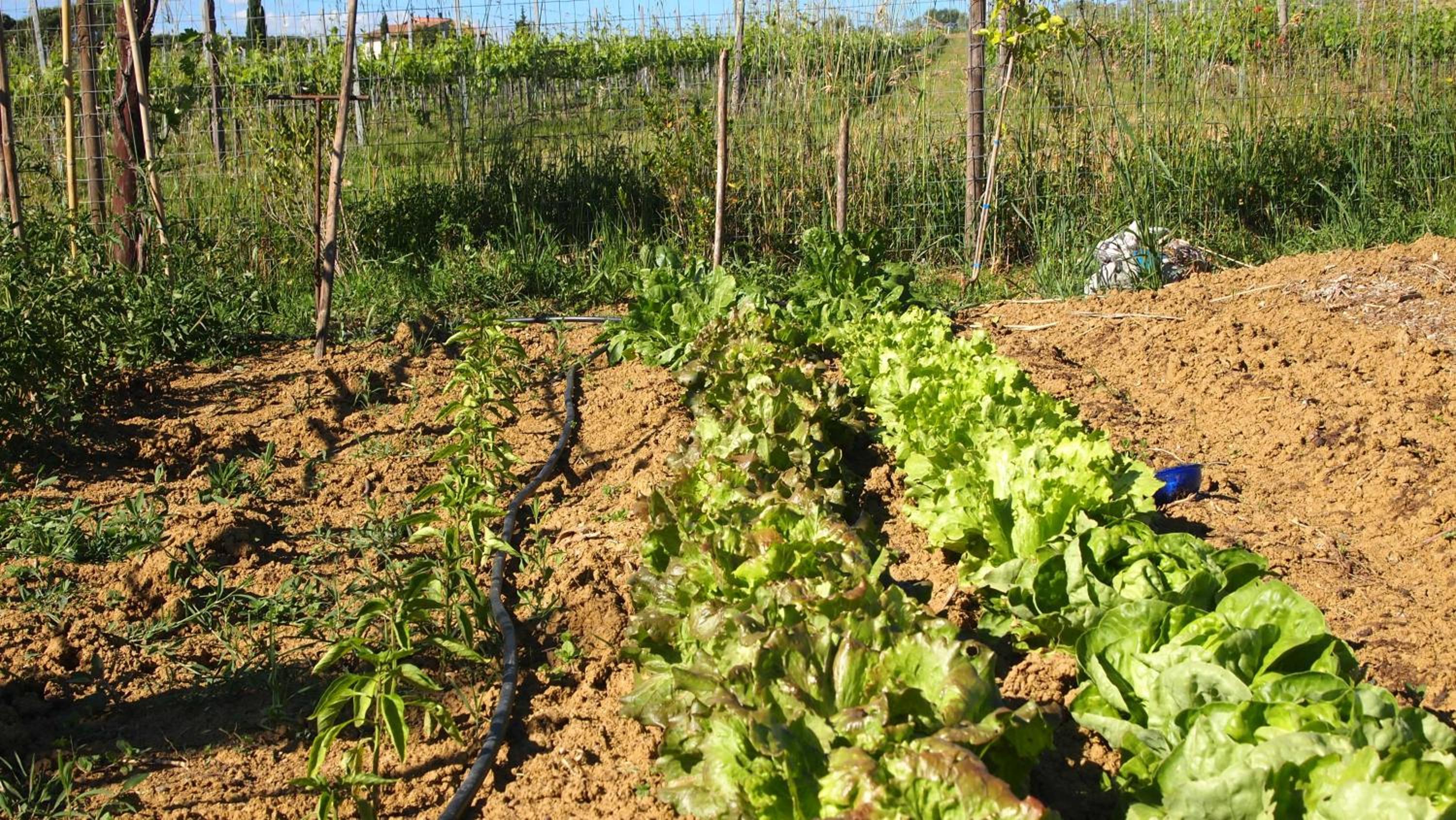 Agriturismo La Terra