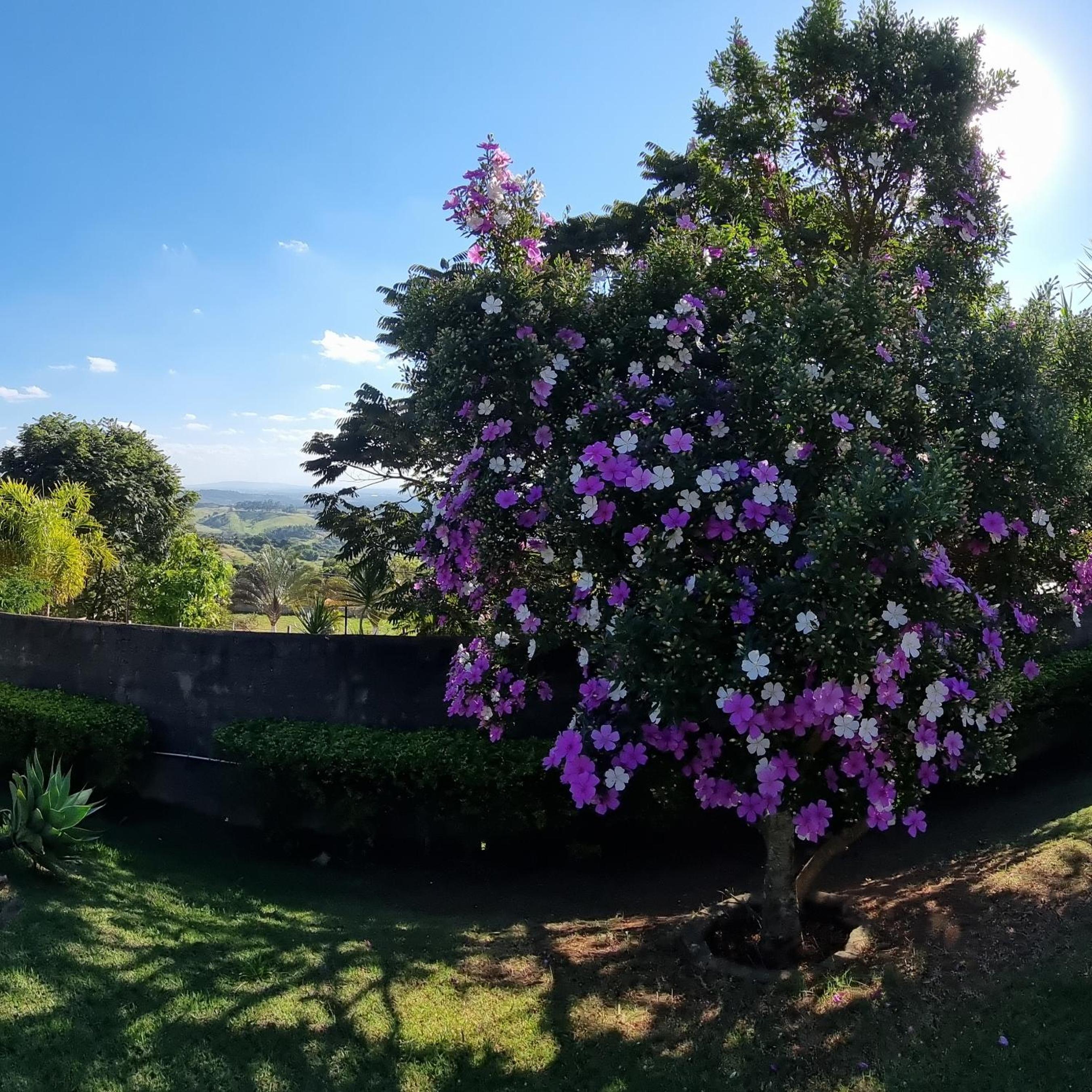 Chácara Rancho da Coruja