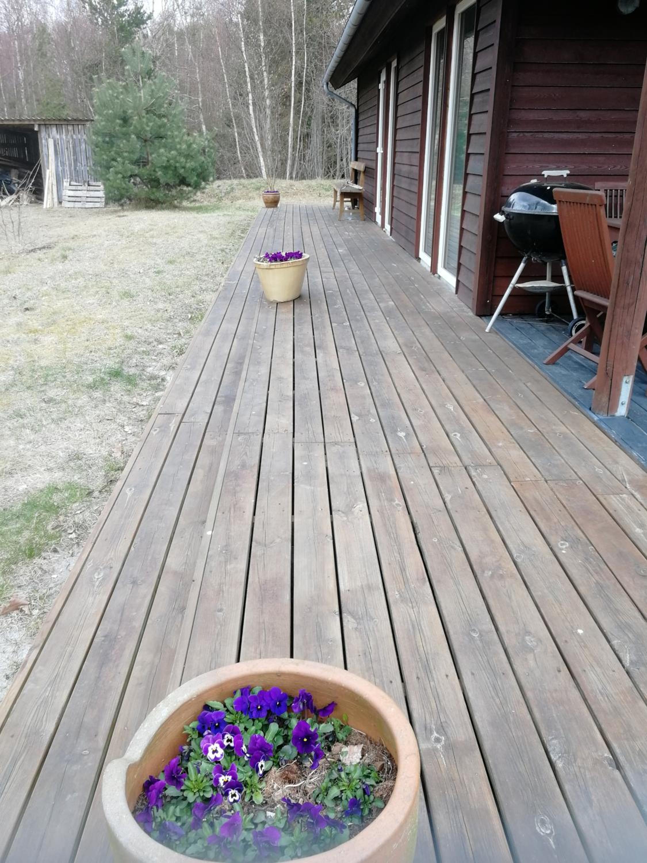 HAVBLIK I SYDHAVNEN