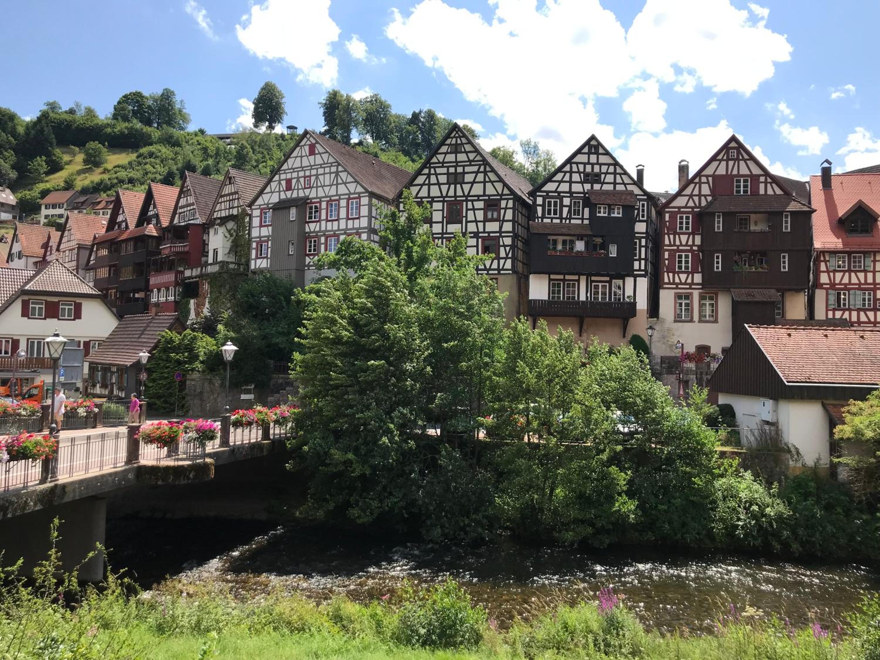 S-VILLA Apartments im Schwarzwald view 5