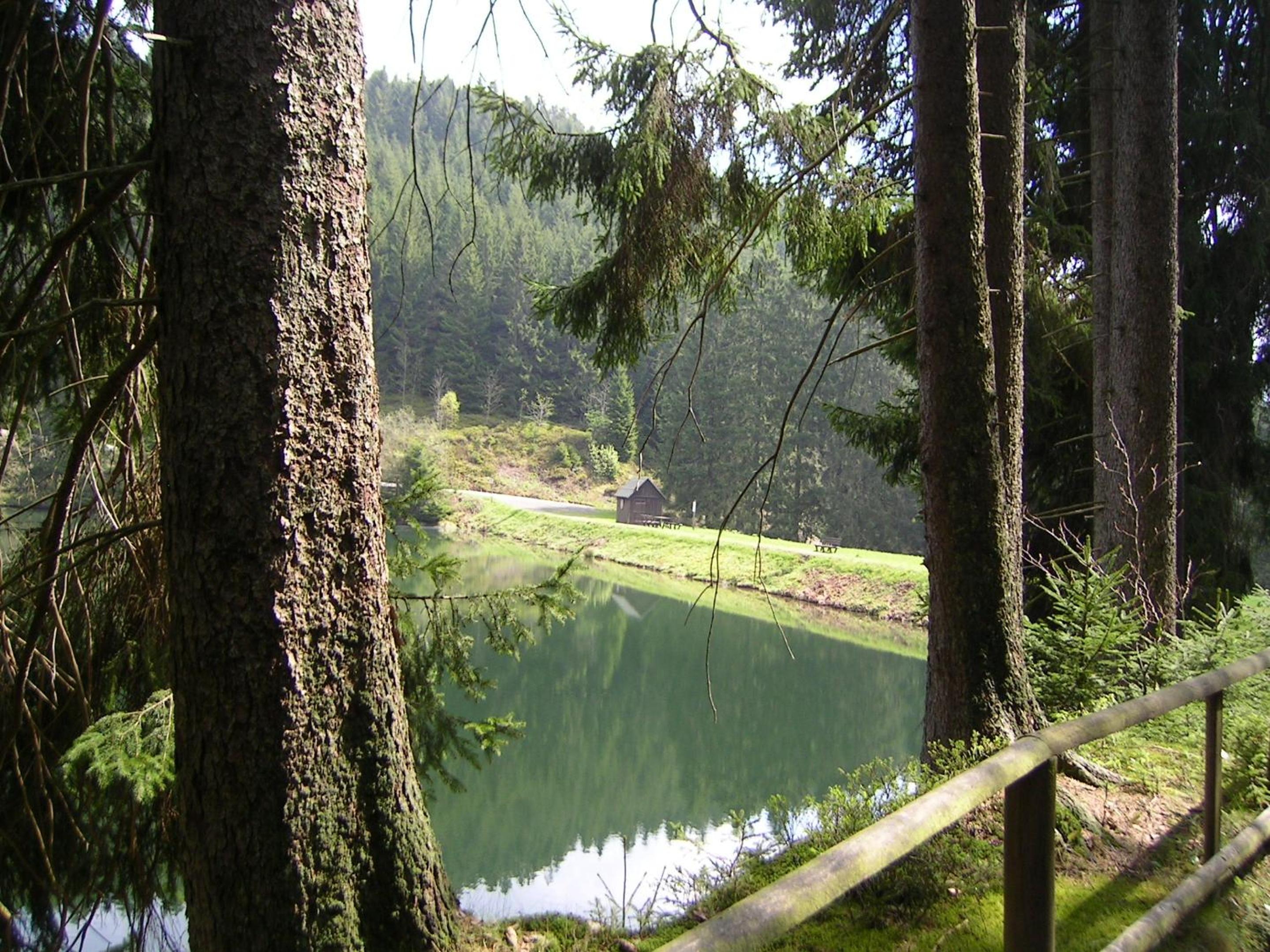 Photo 48