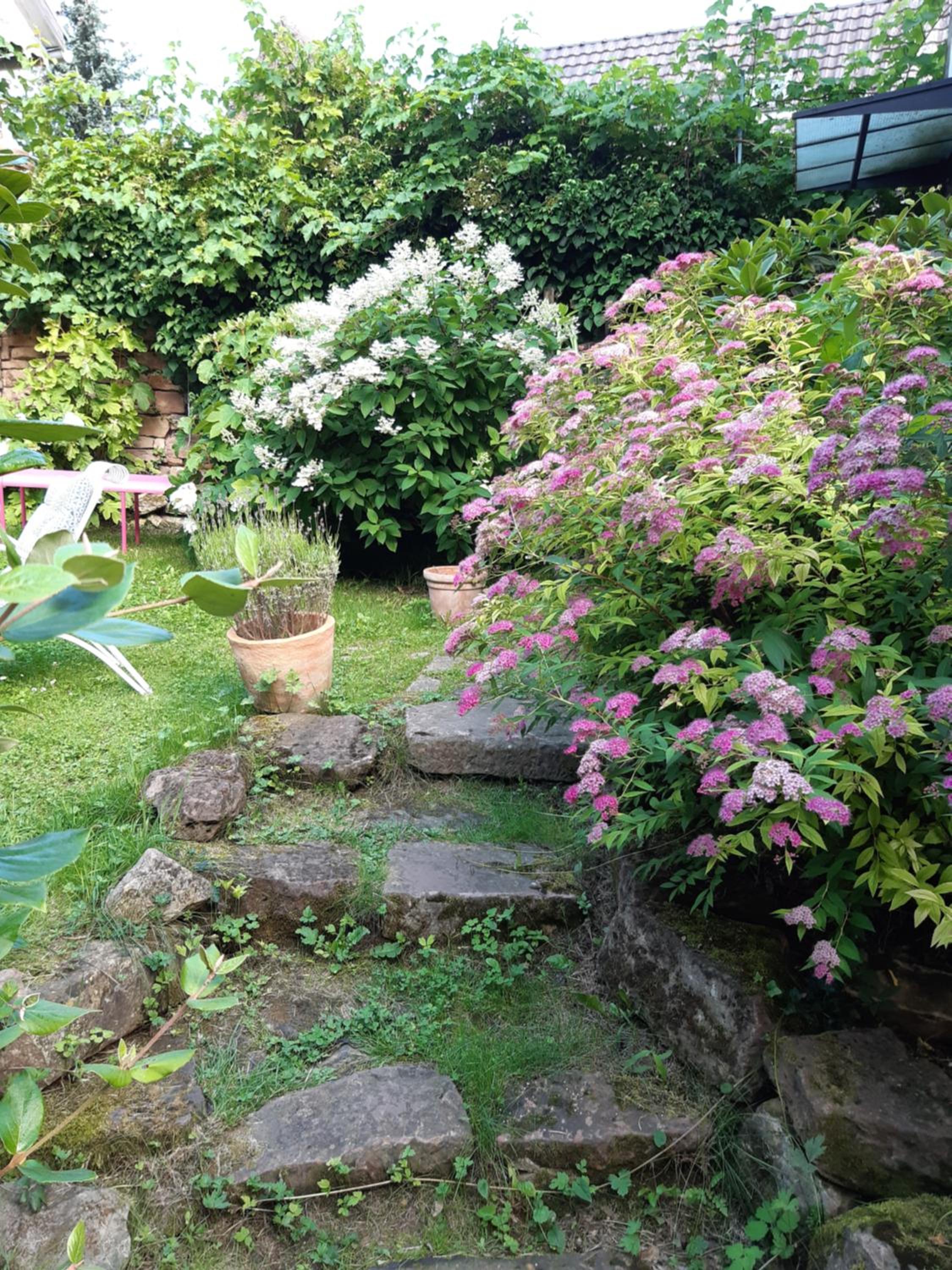 Photo 40