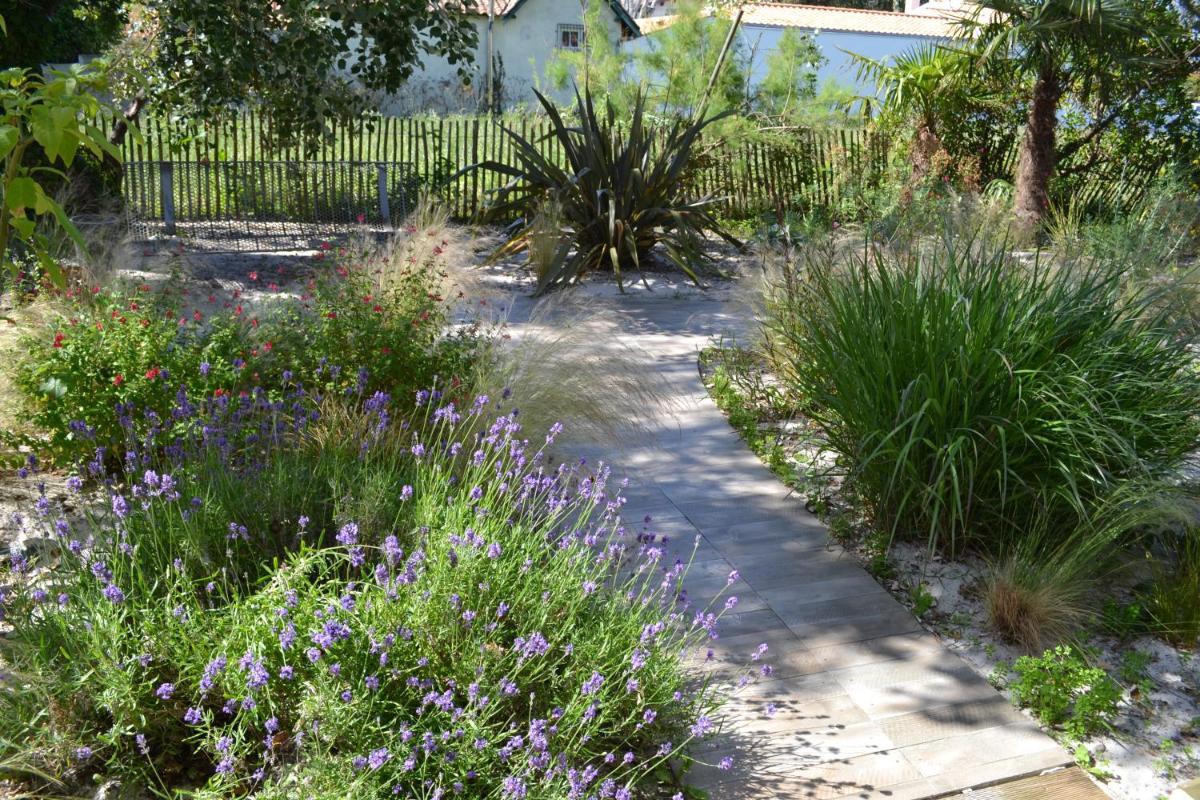 garden