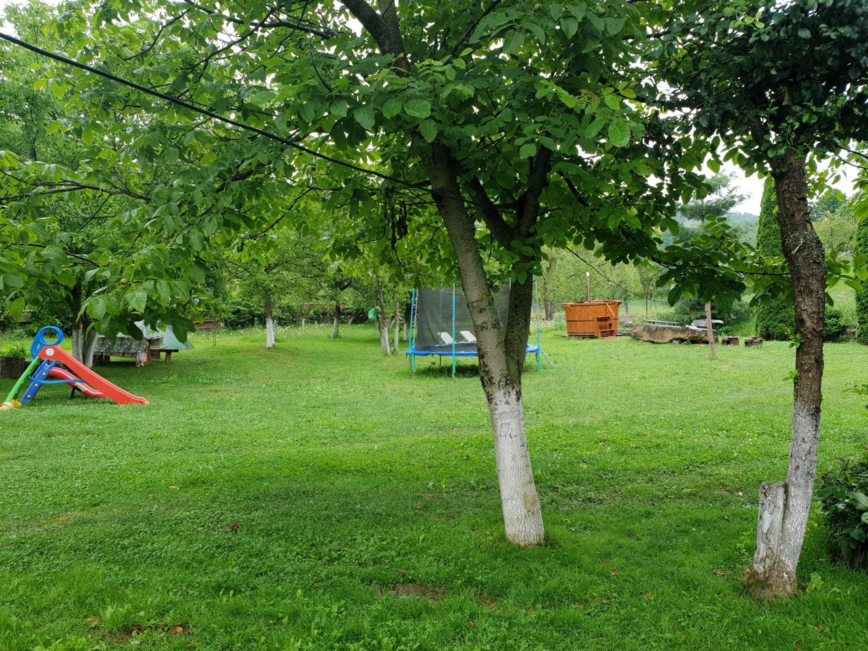 Photo 44