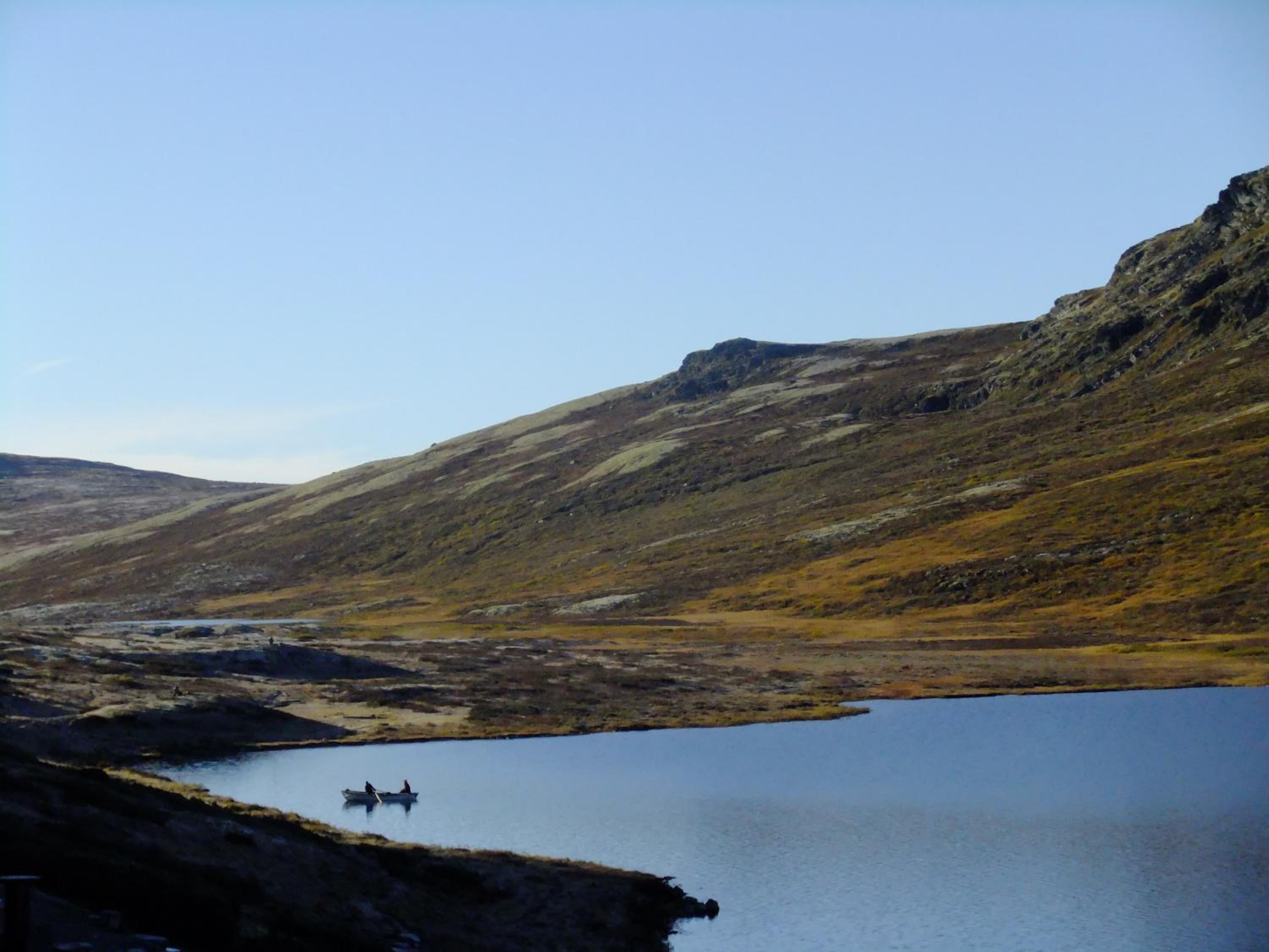 Photo 10