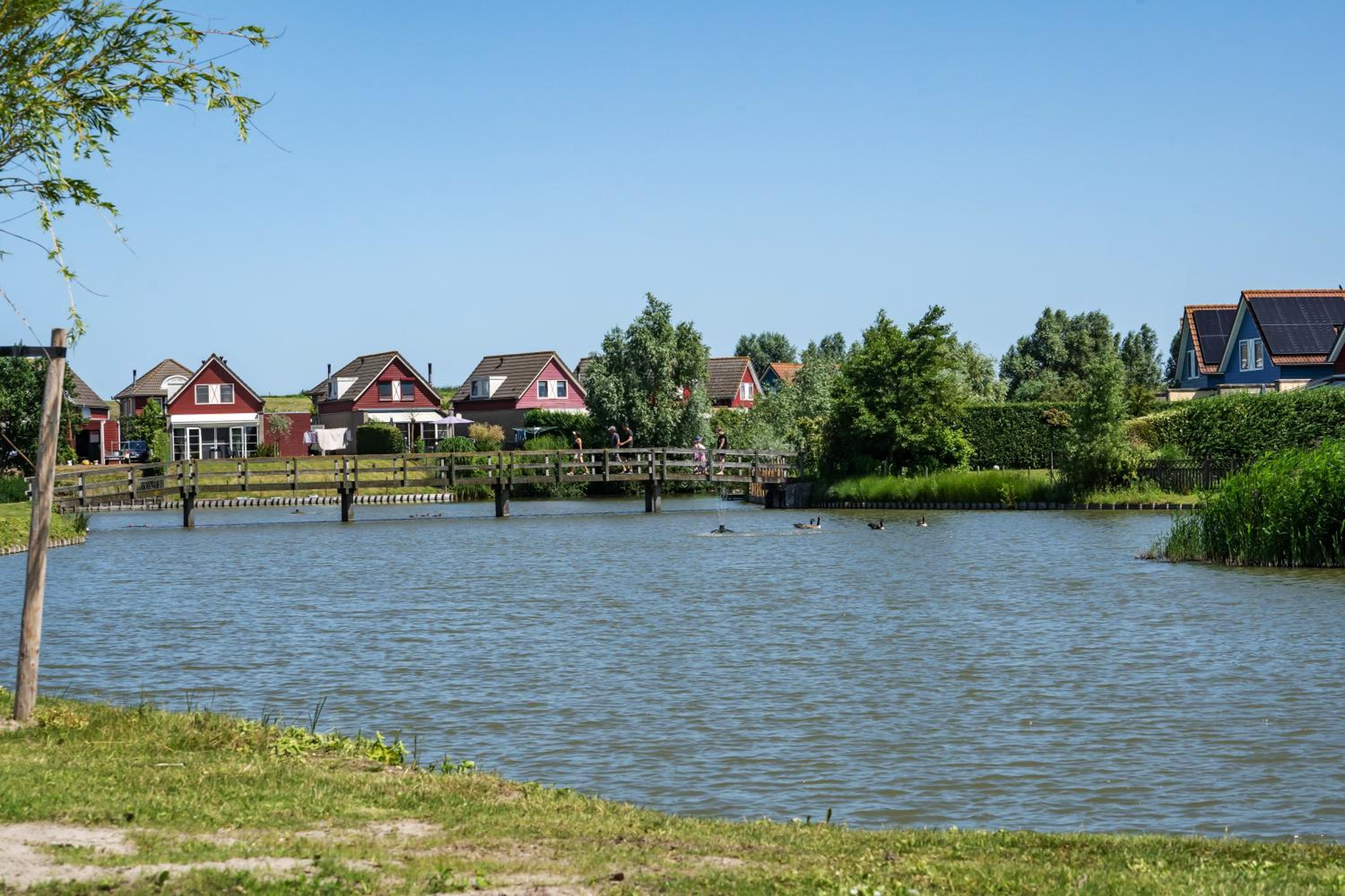 Photo 43