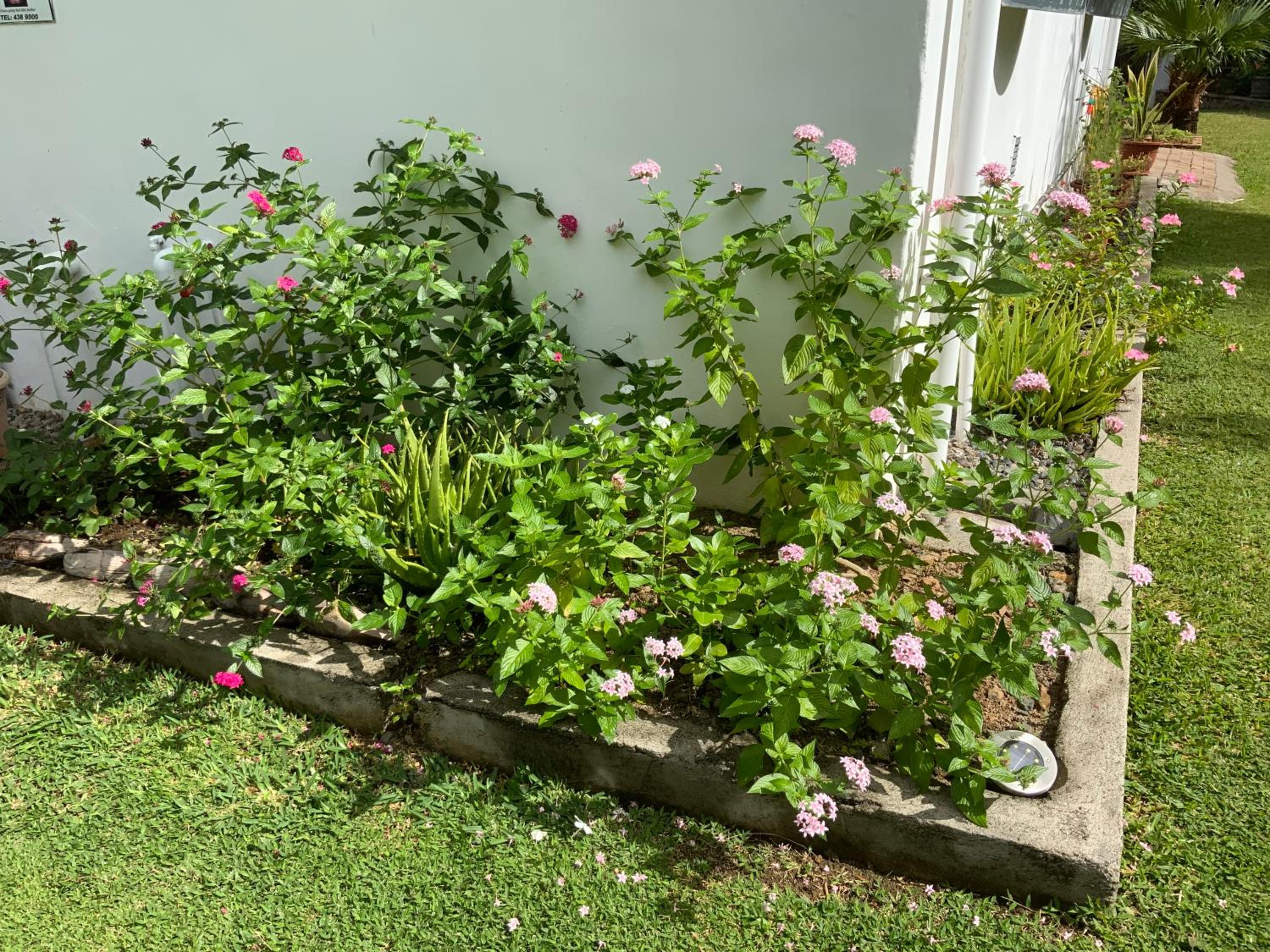 The Orchard Holiday Home