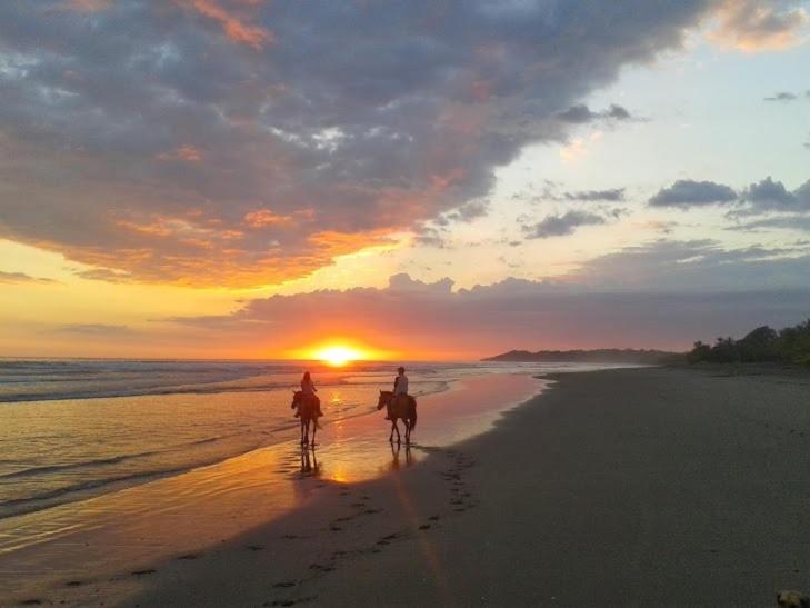 Encantada Ocean Cottages