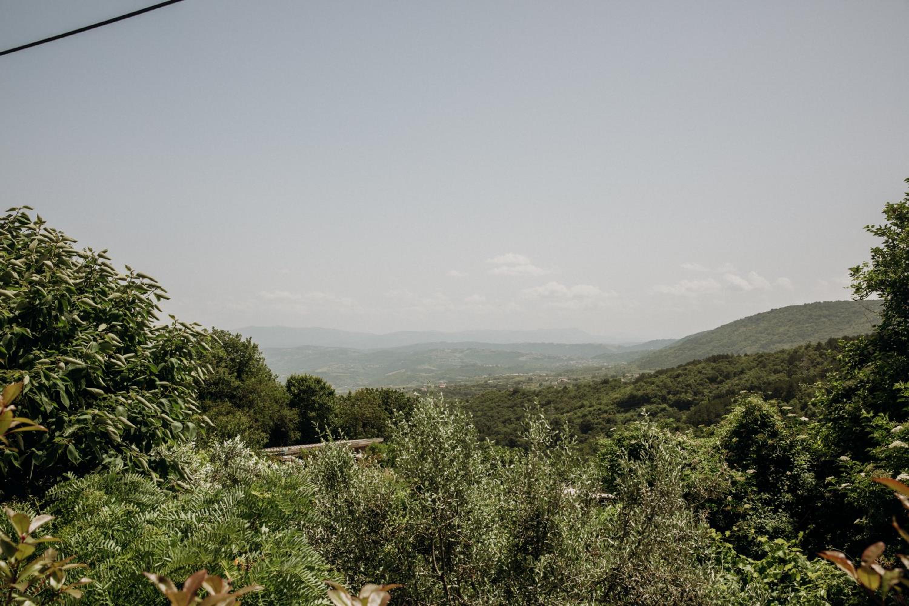 Apartmaji Pajer view 4