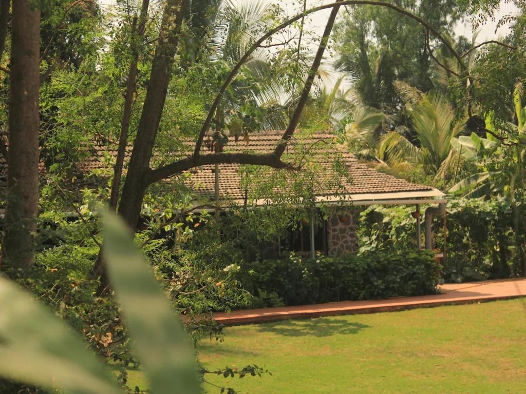 Red House 3BHK view 4