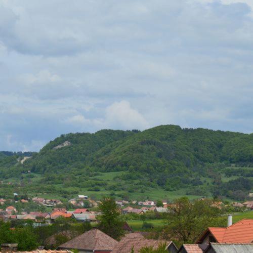 Photo 48