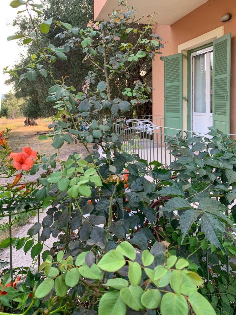 Lena House photo 5