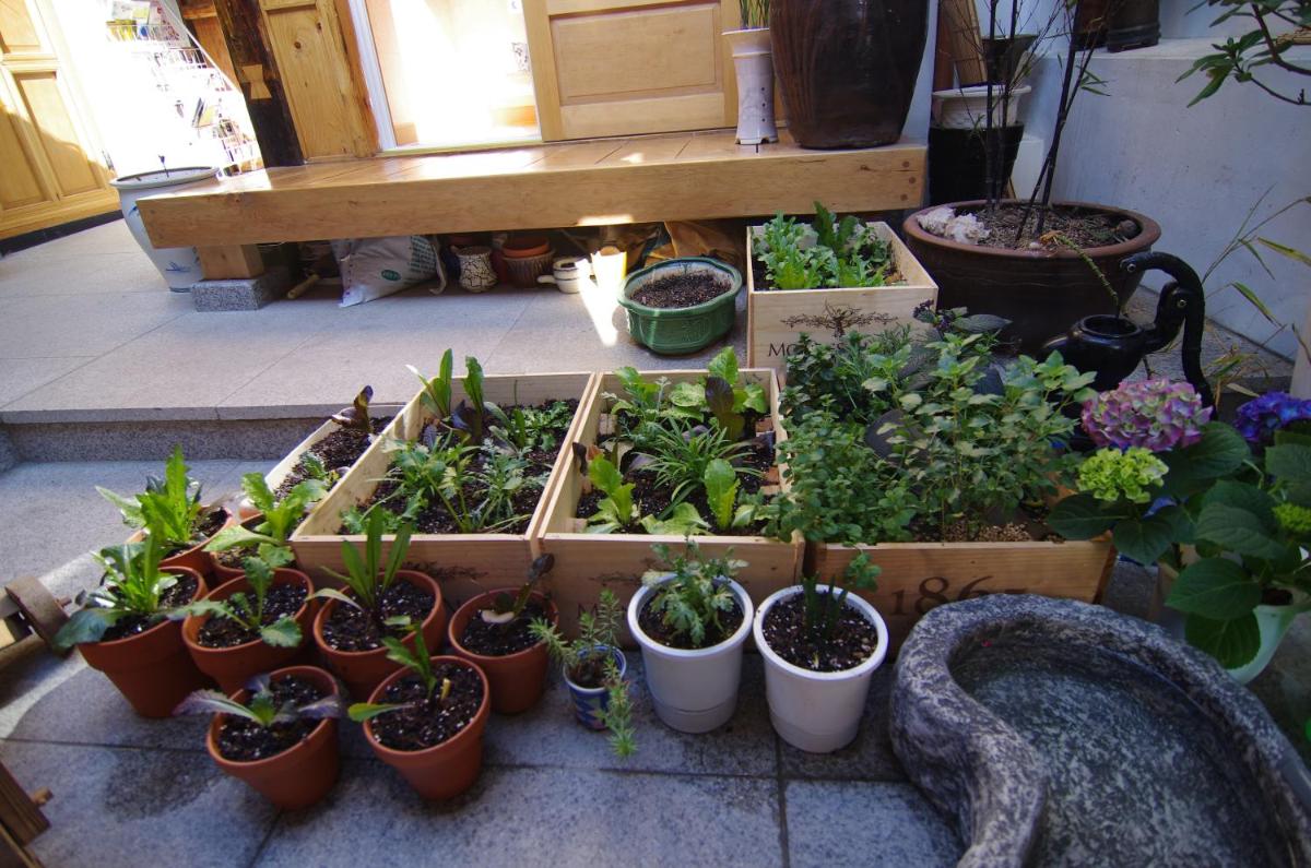 Hanok Guesthouse Nuha