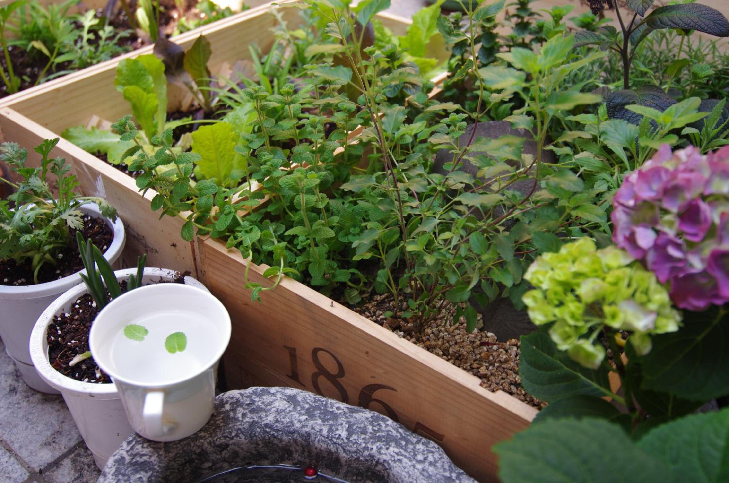 Hanok Guesthouse Nuha