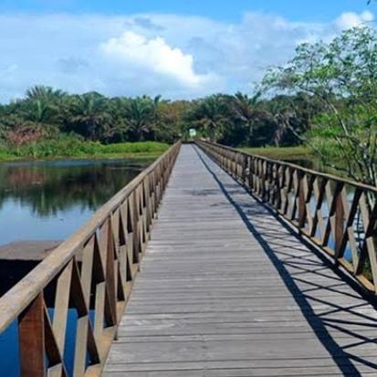 Apartamento Praia do Forte