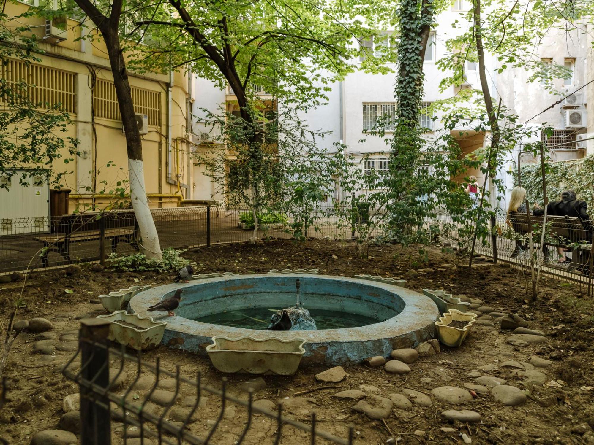 Photo 40