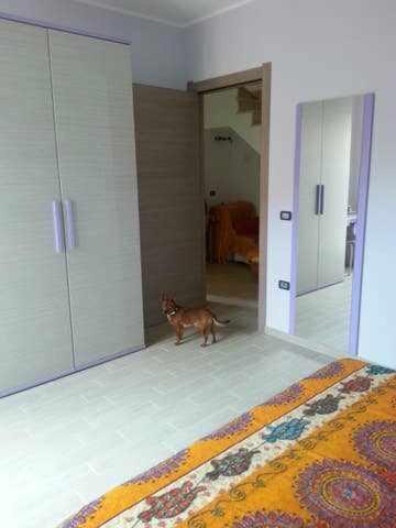 Photo 28