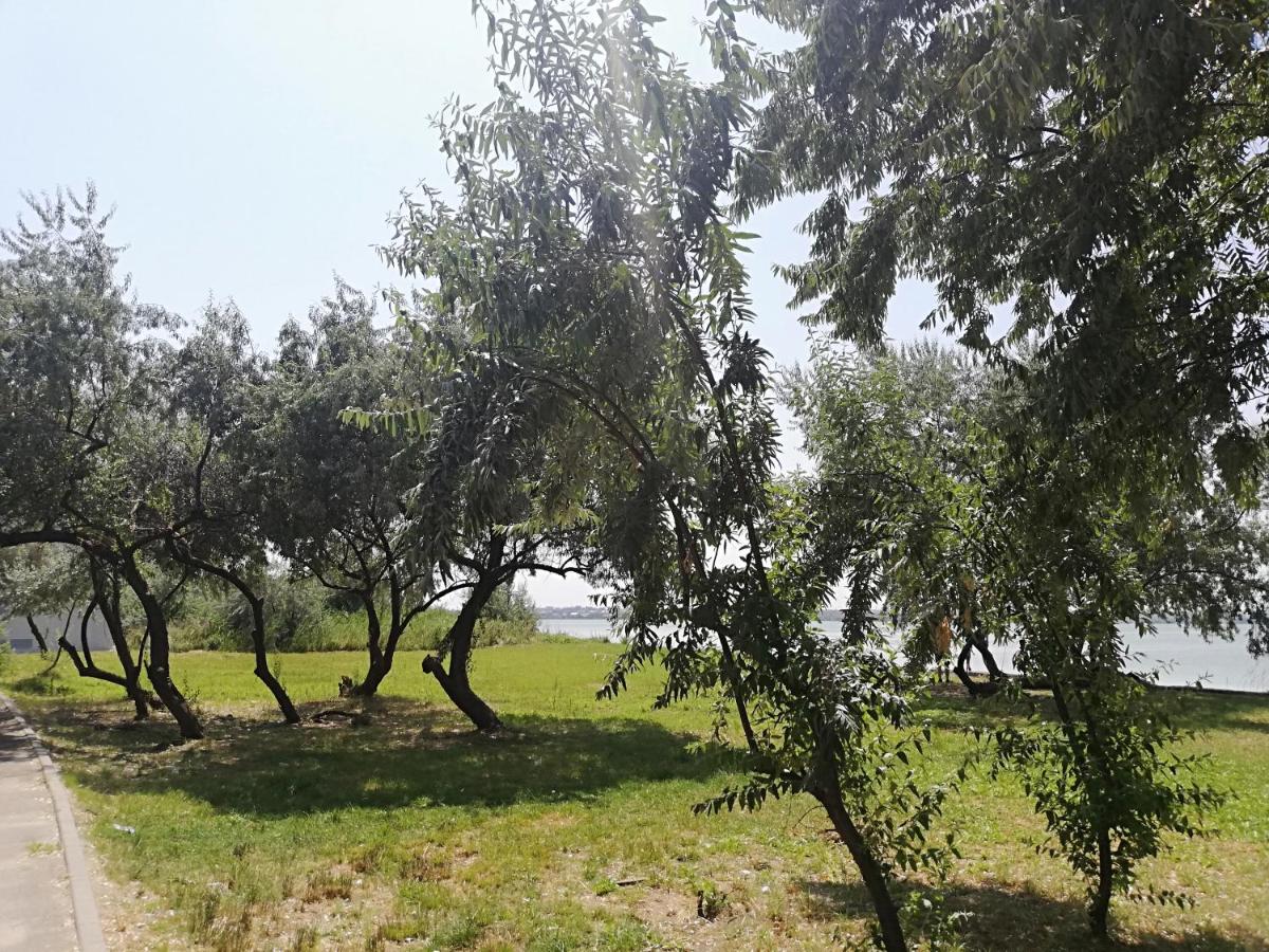 Photo 44