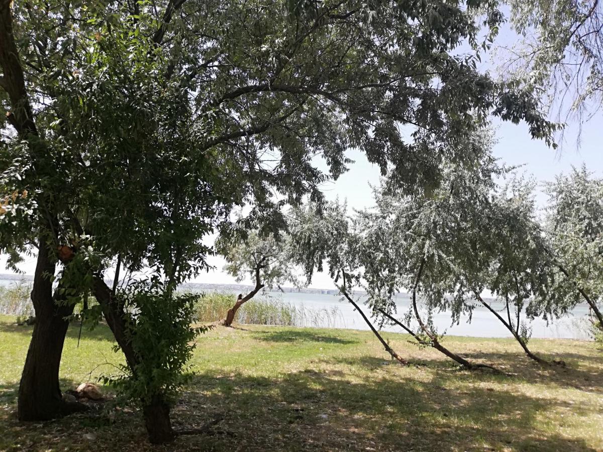 Photo 49
