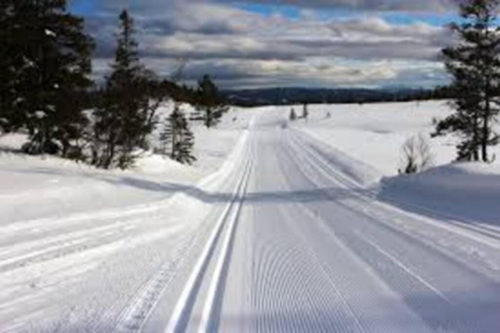 Photo 8
