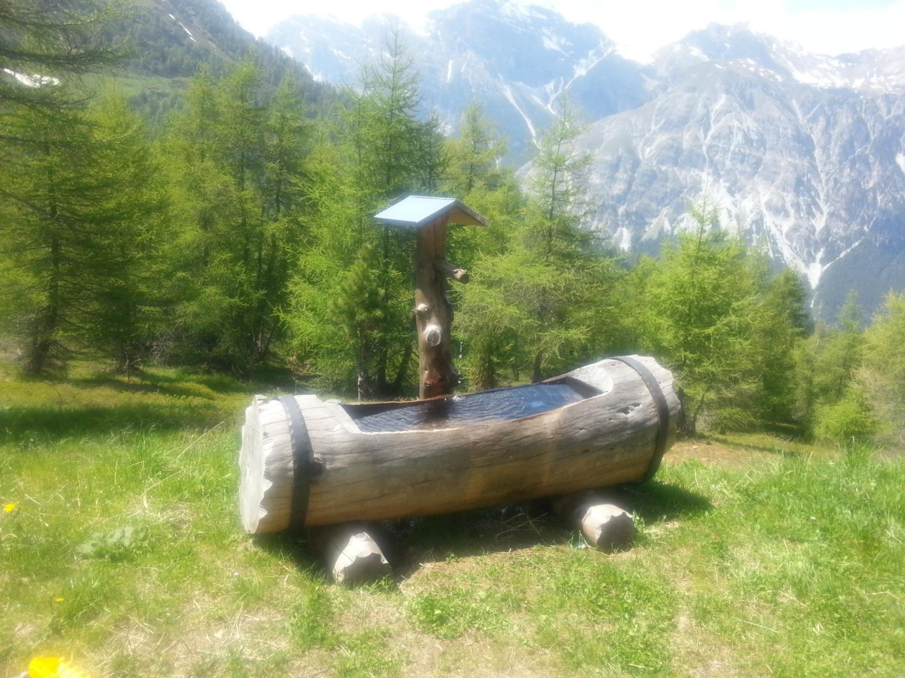Photo 15
