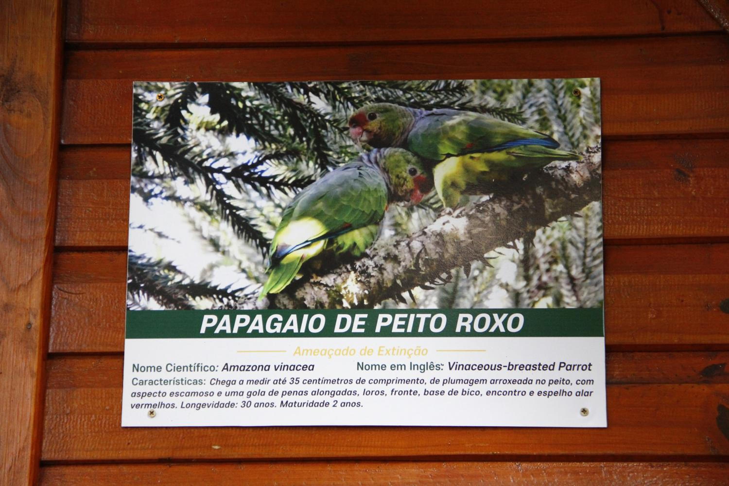 Recanto da Mata Pousada