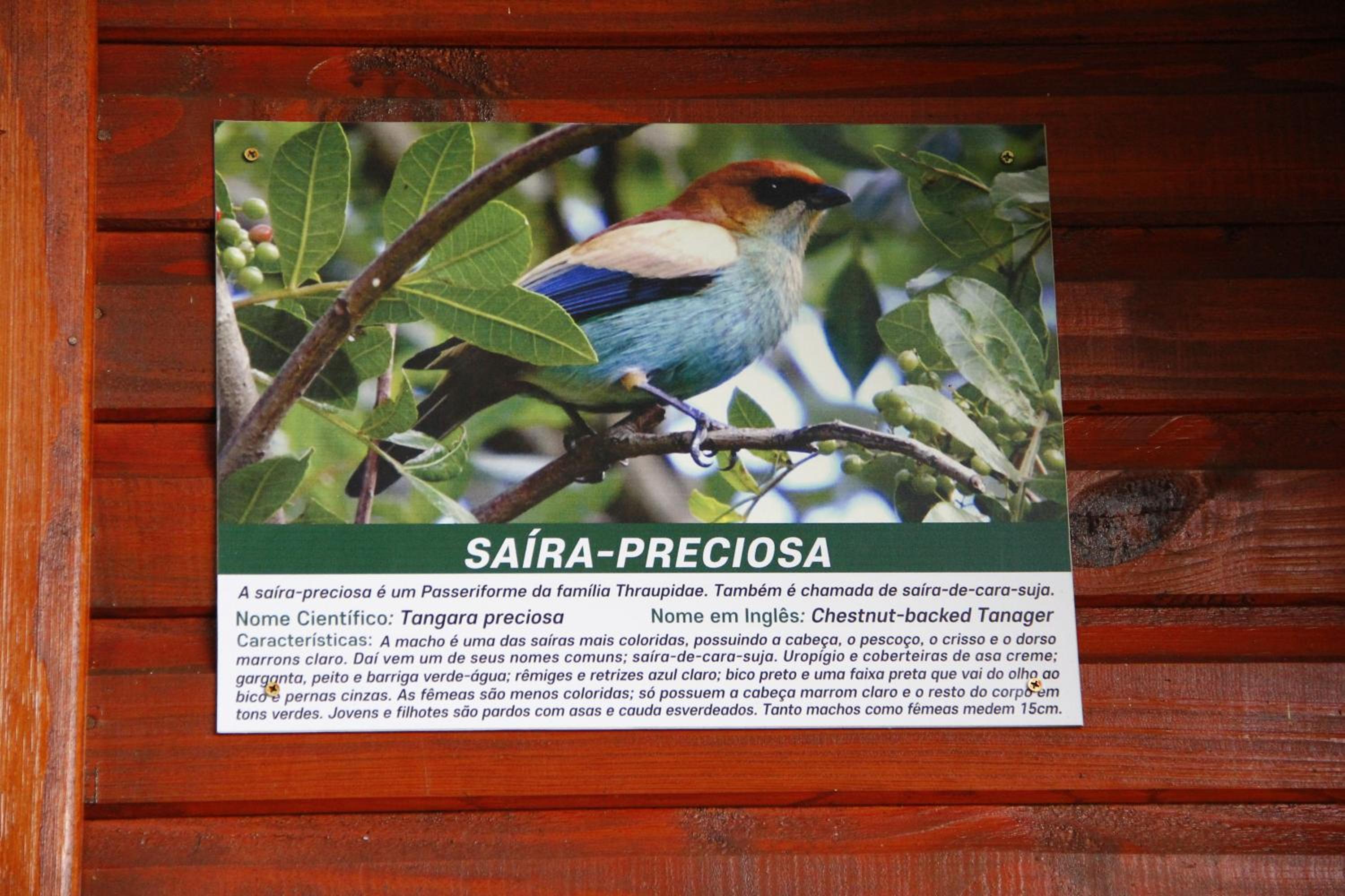 Recanto da Mata Pousada