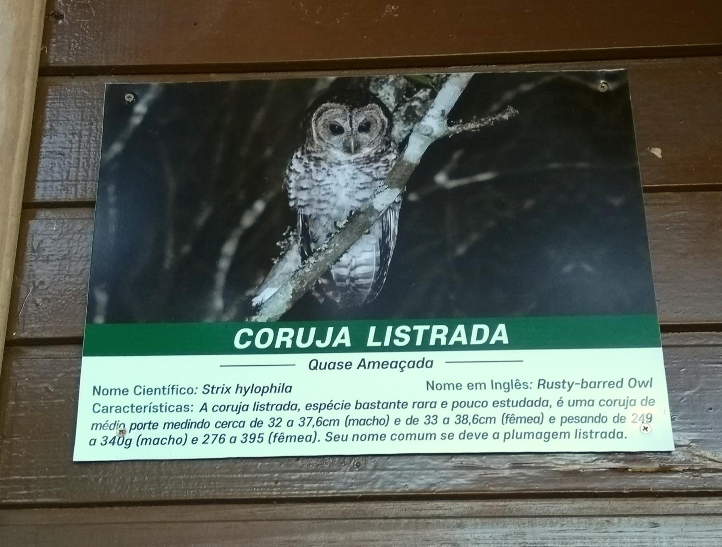 Recanto da Mata Pousada