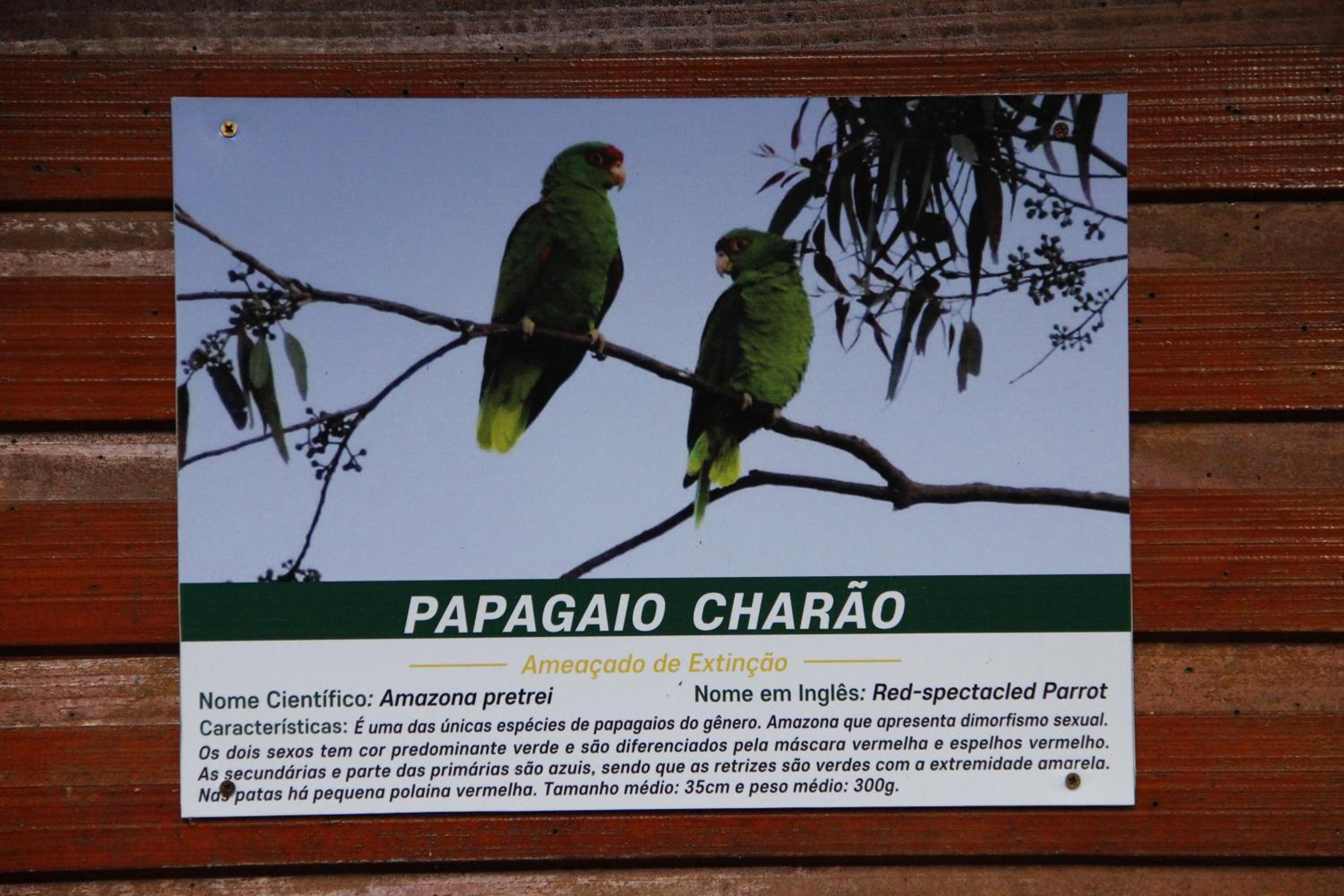 Recanto da Mata Pousada
