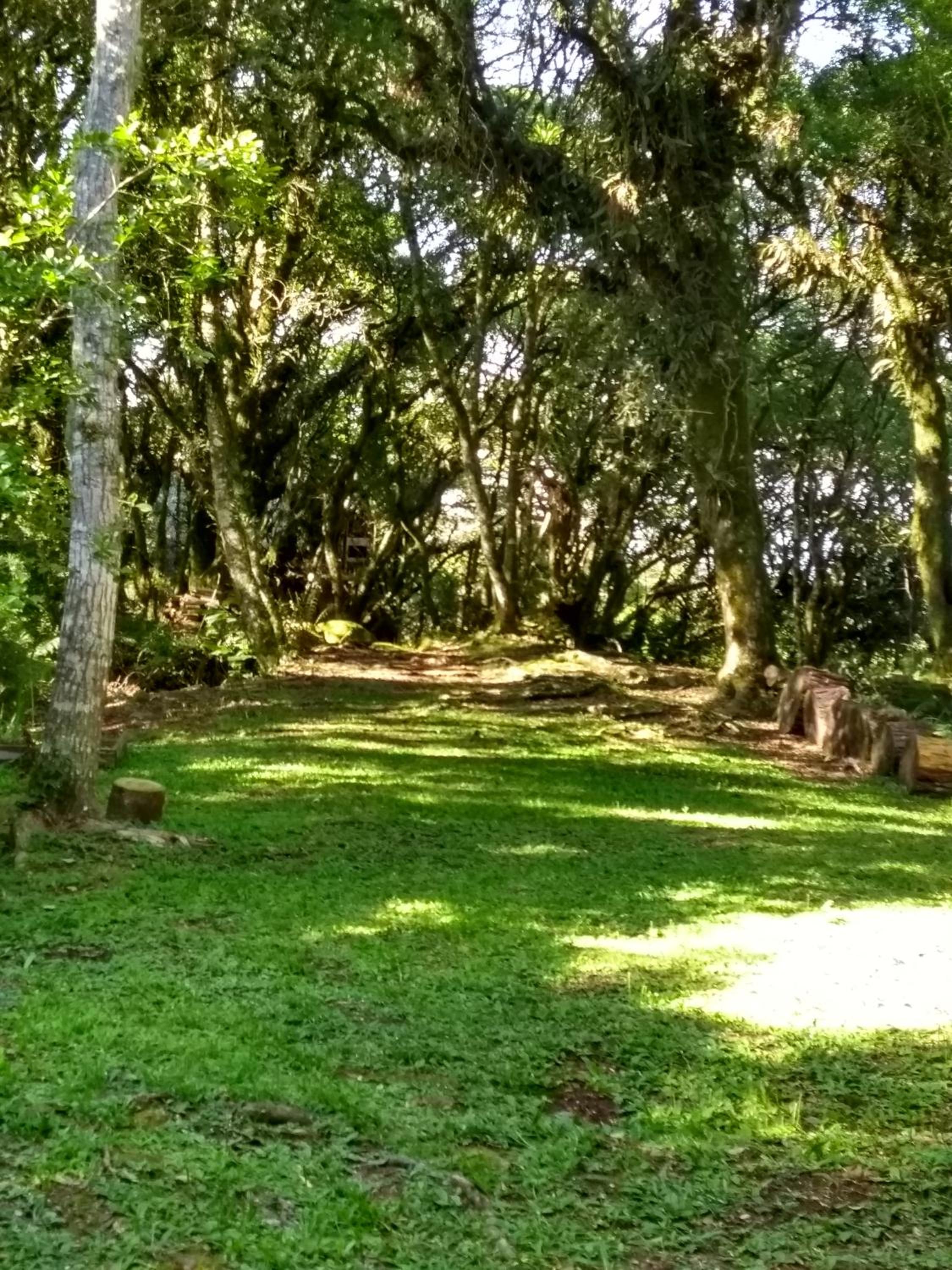 Recanto da Mata Pousada