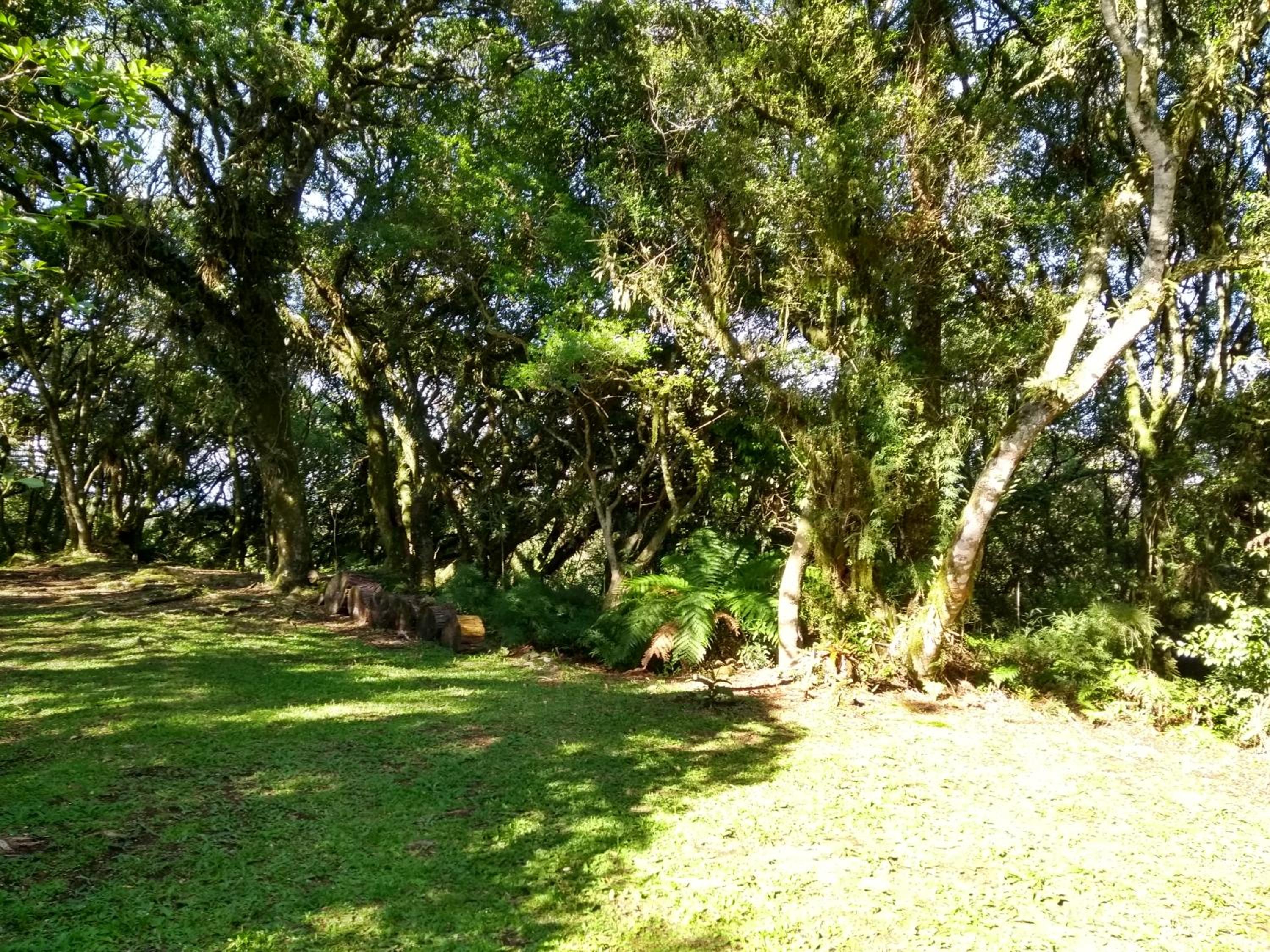 Recanto da Mata Pousada