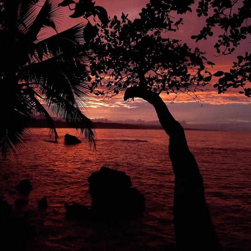 Cahuita Inn