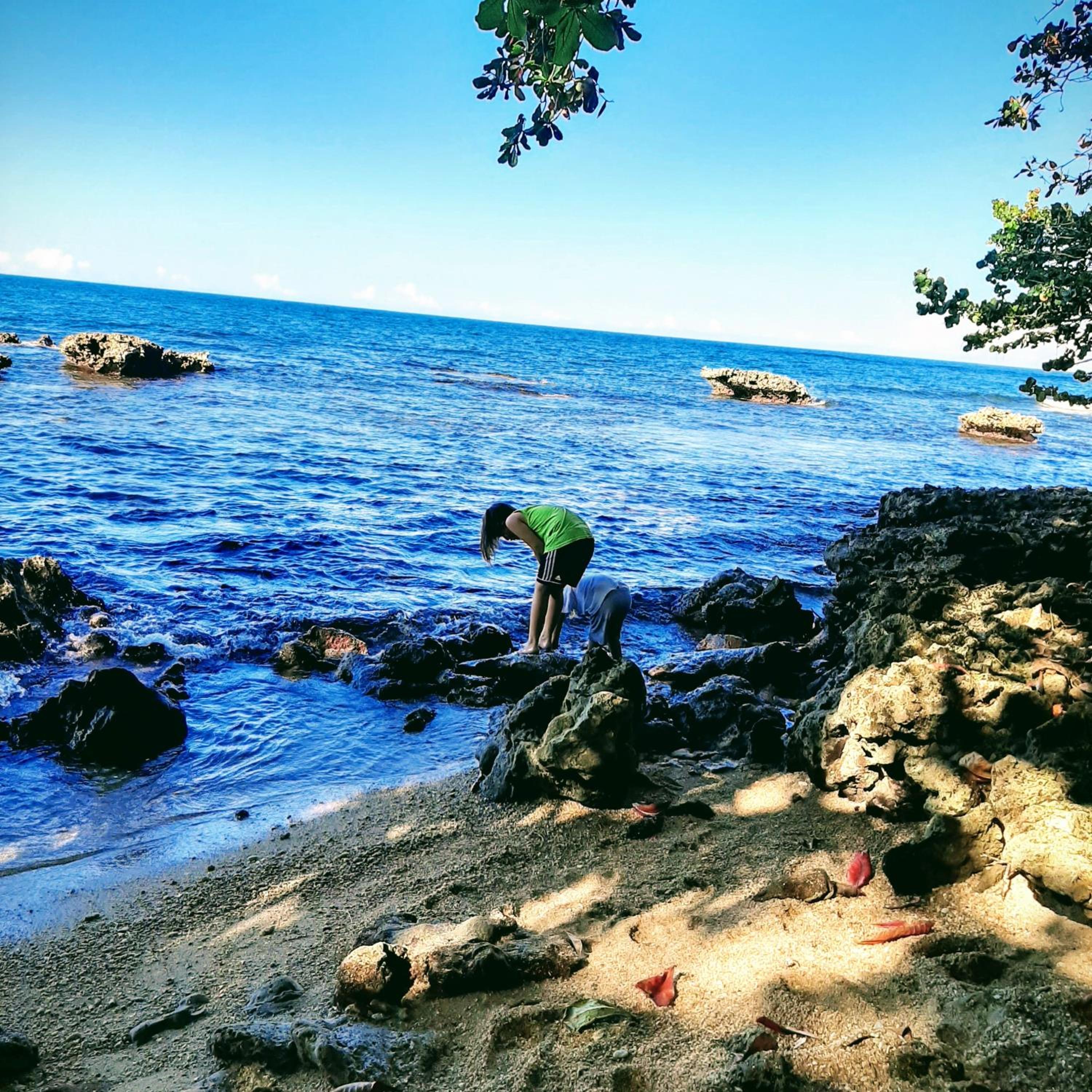 Cahuita Inn