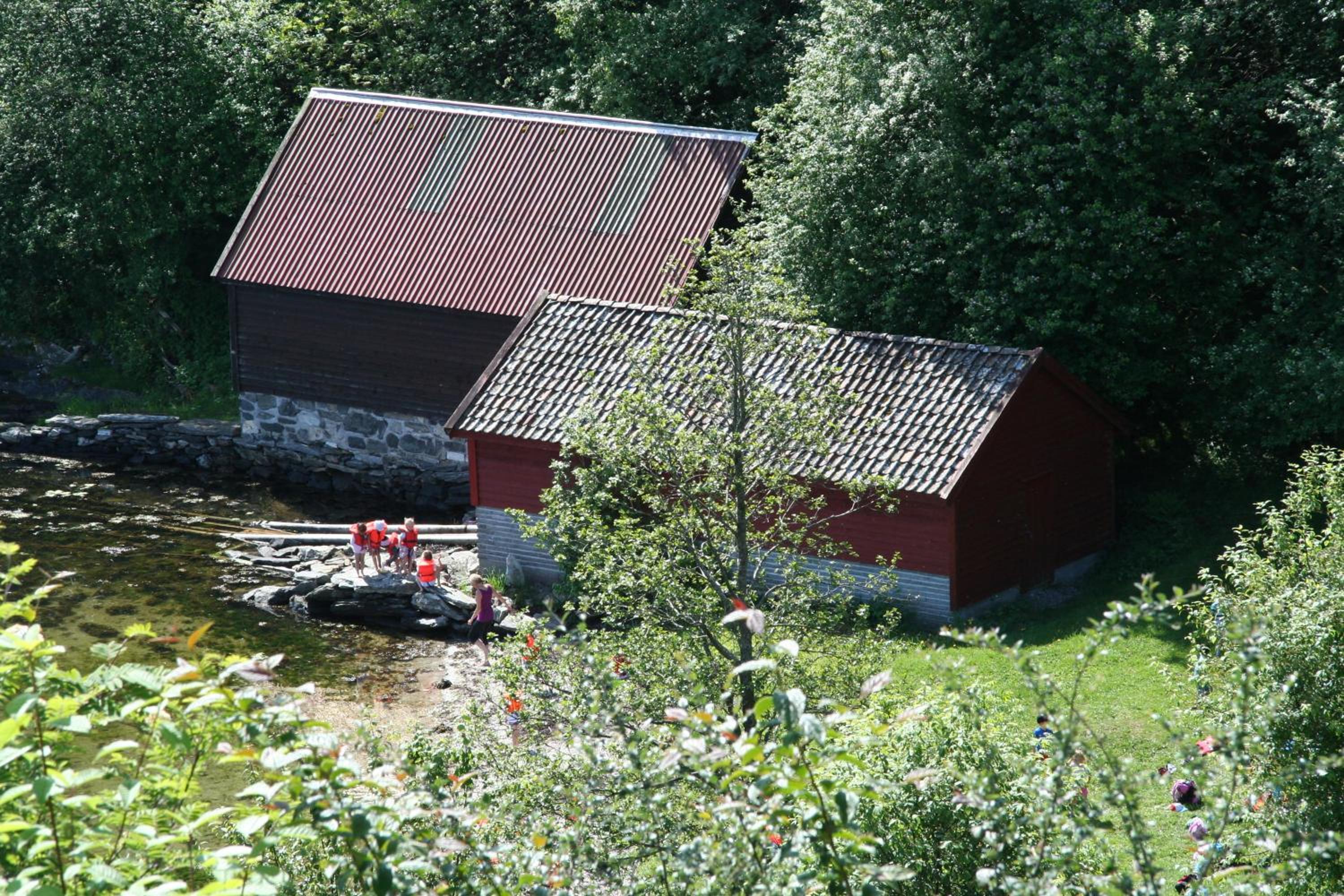 Photo 50