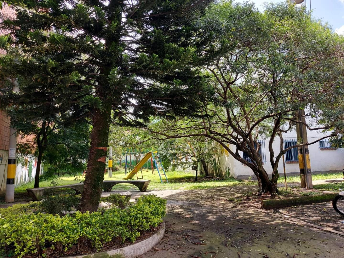 Photo 15