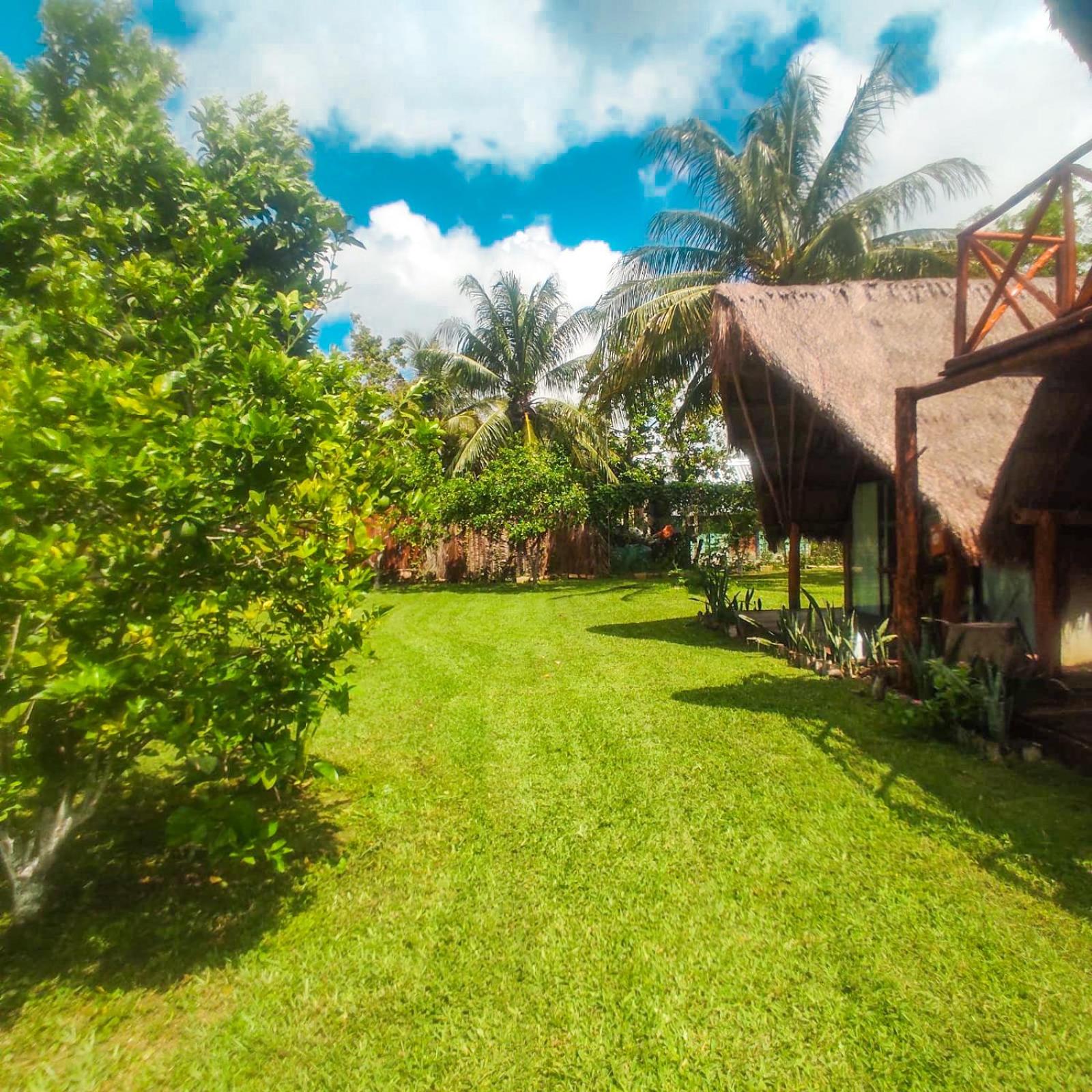 Mangata Bacalar