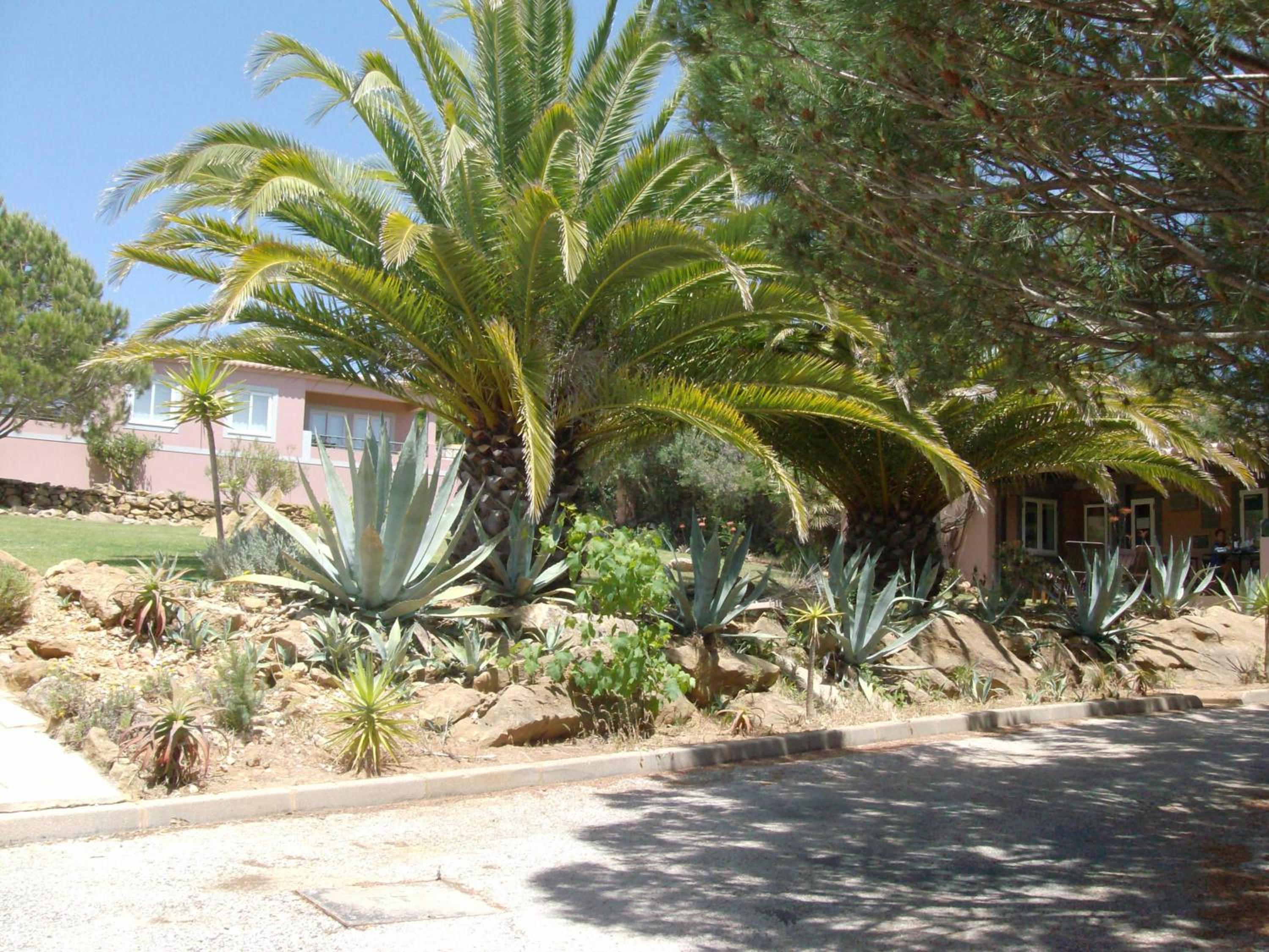 Photo 42