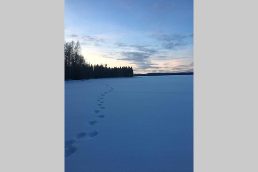 Photo 48