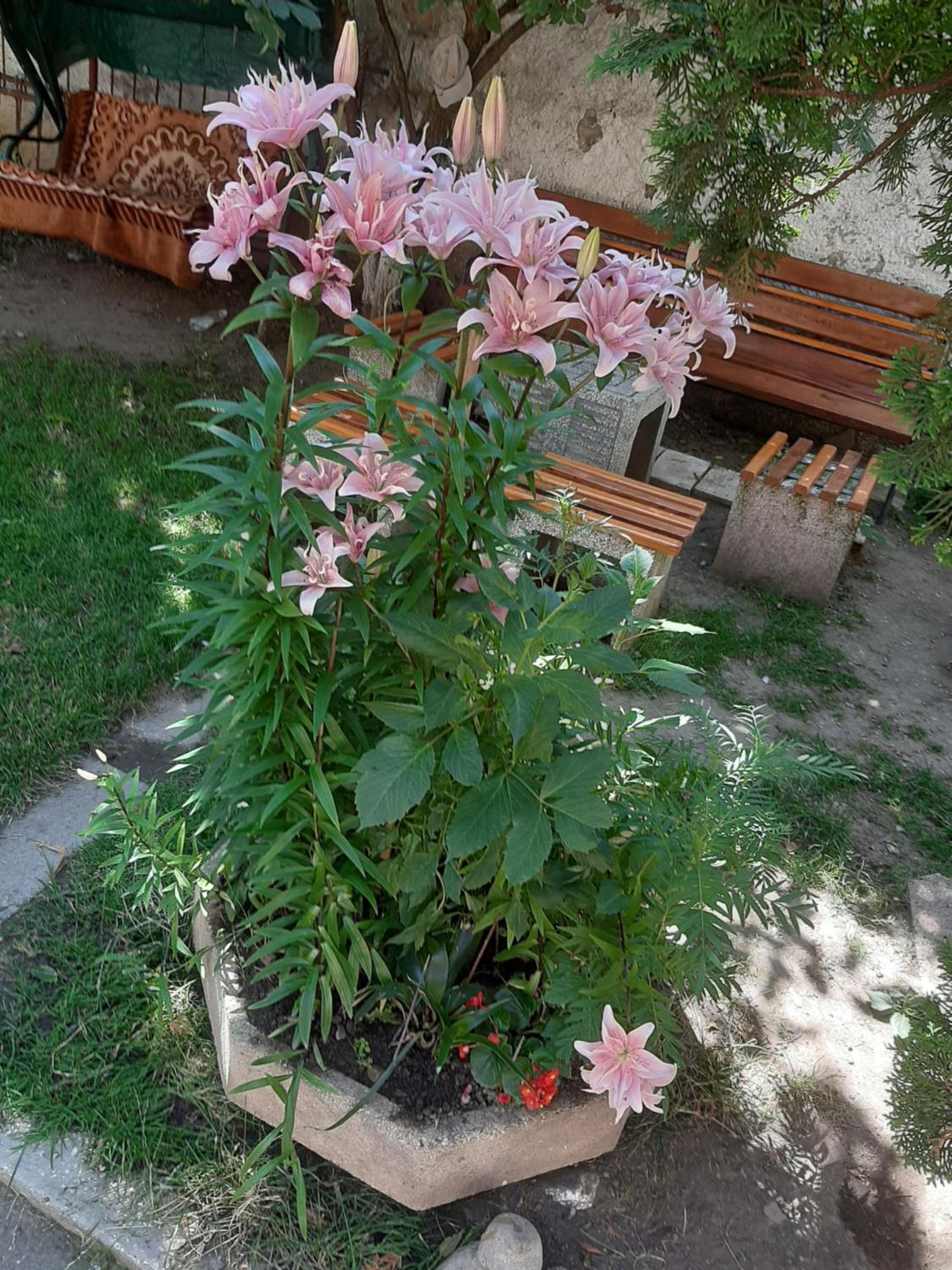 Photo 32
