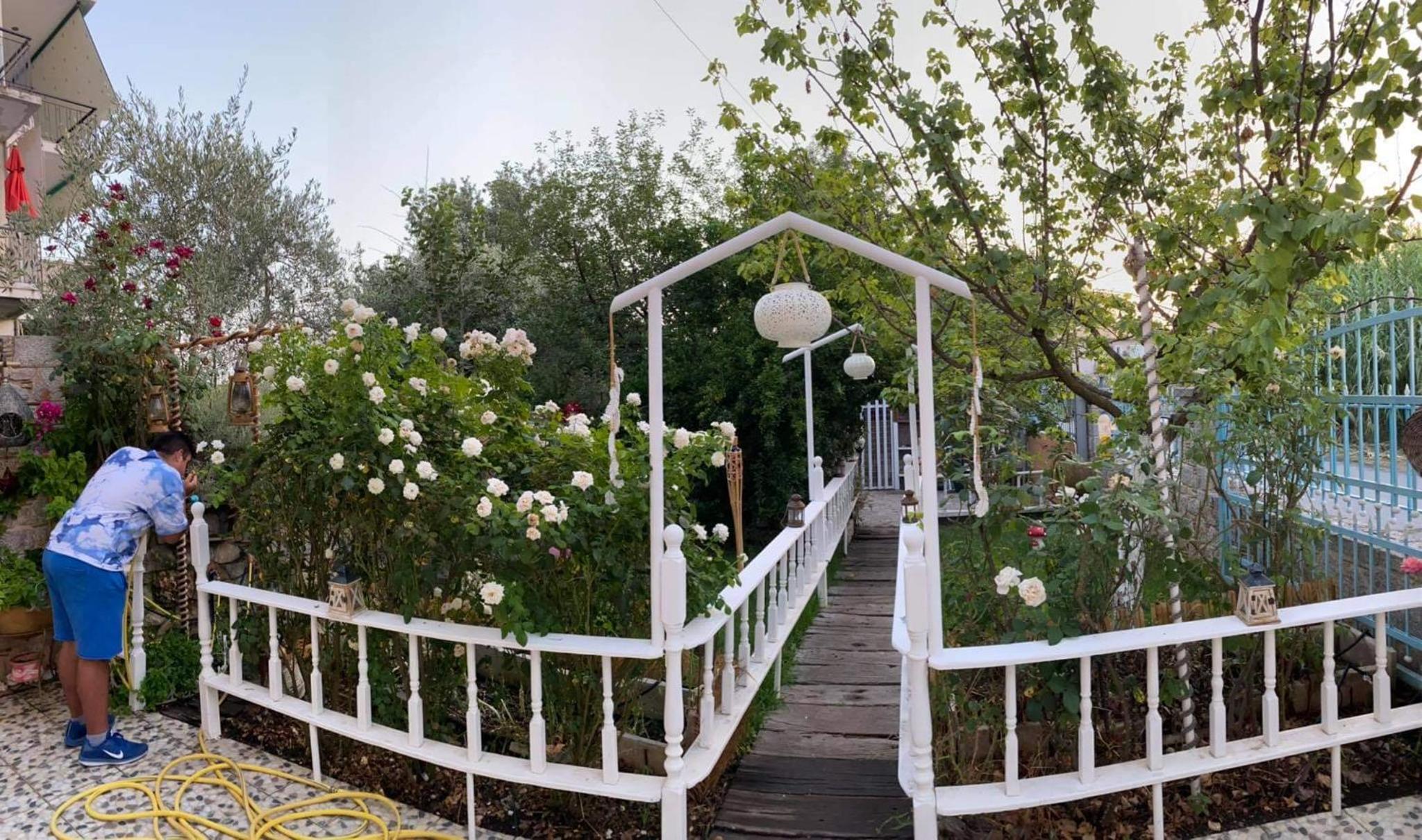 Photo 18