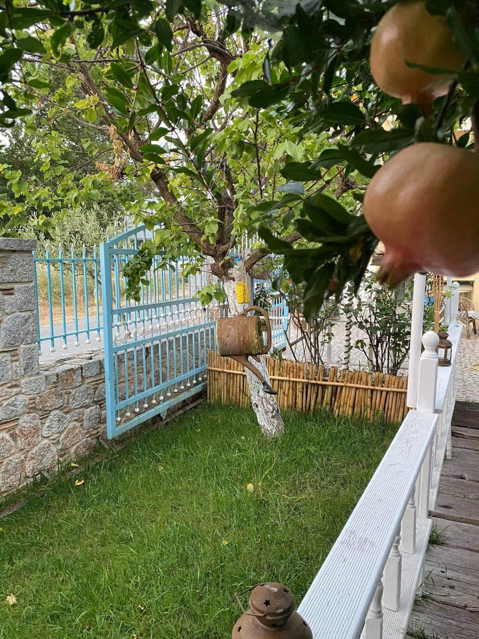 Photo 22