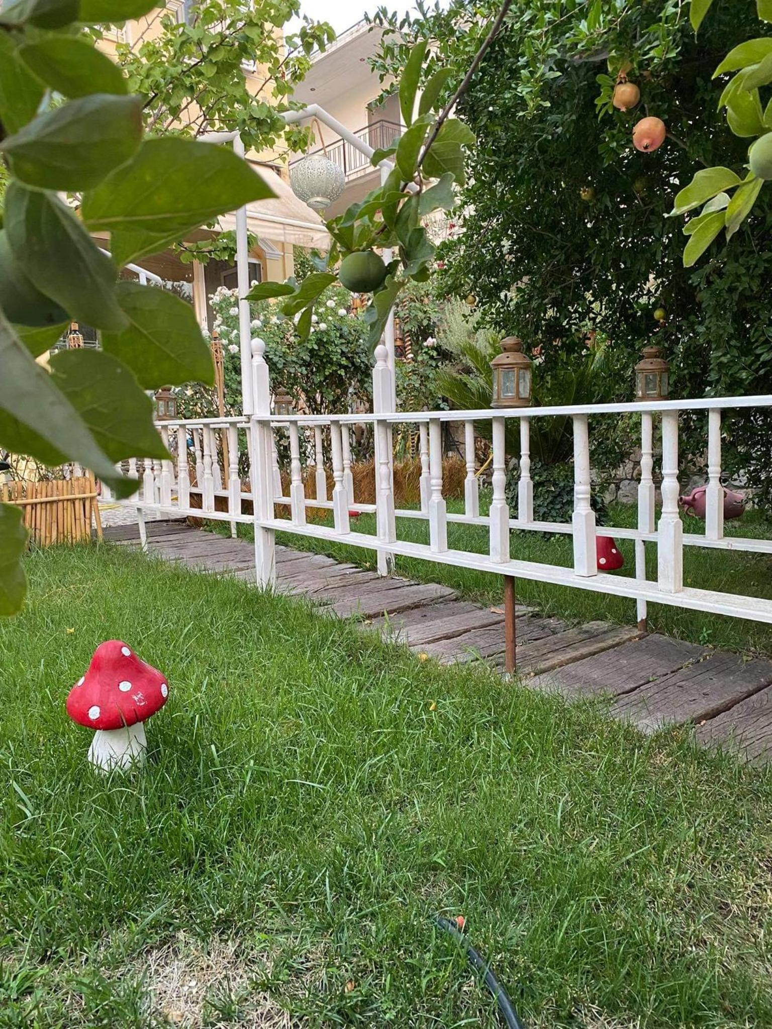 Photo 23