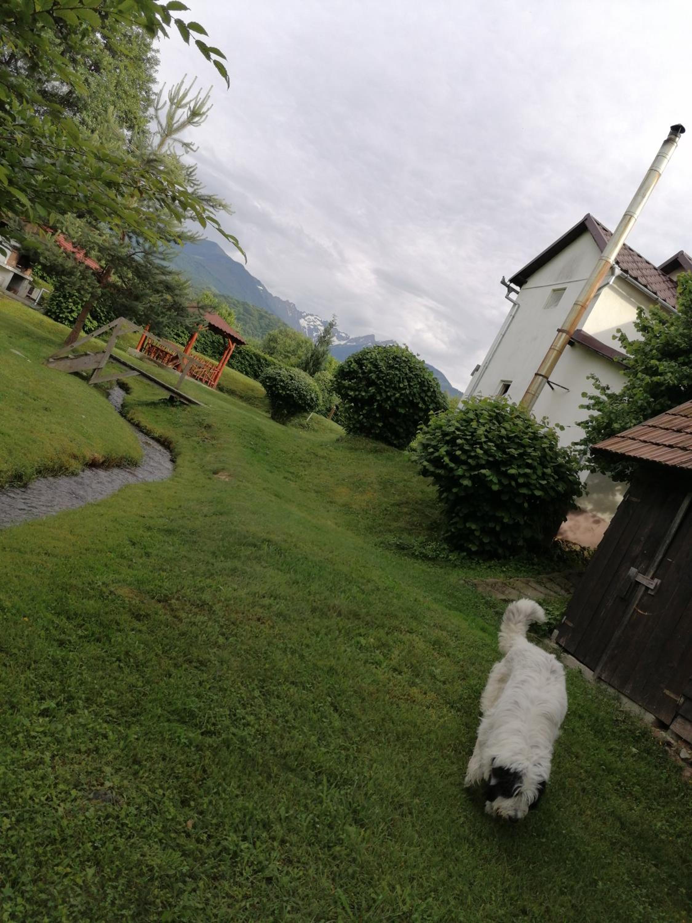 Casa de vacanța Marin view 3